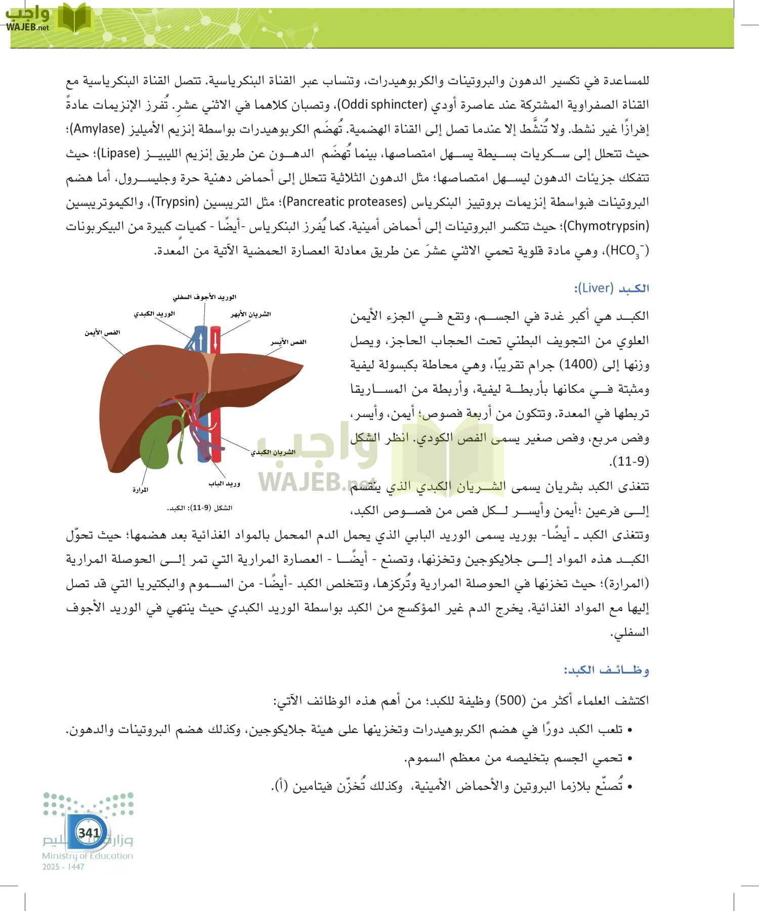أنظمة جسم الإنسان page-340