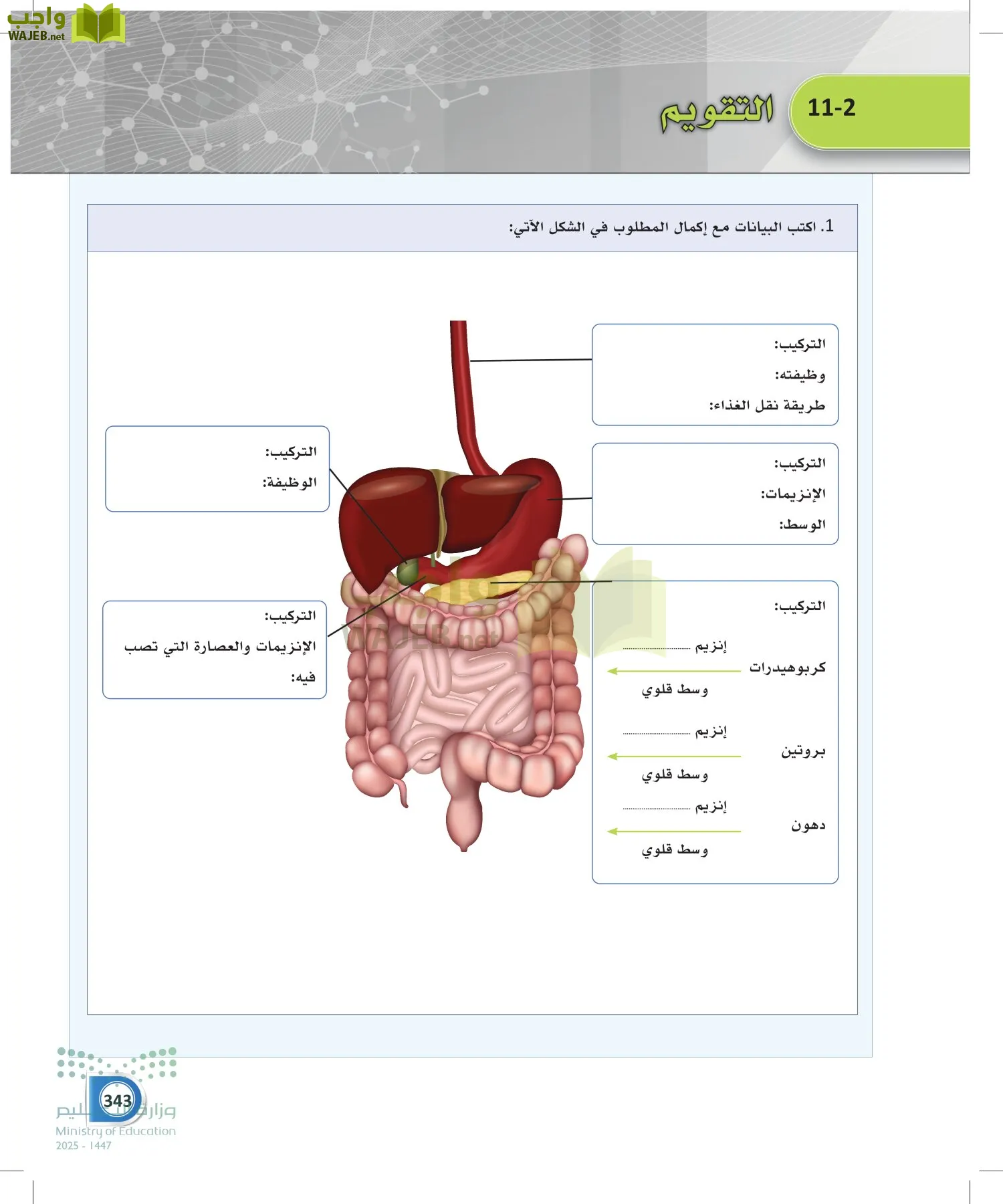 أنظمة جسم الإنسان page-342