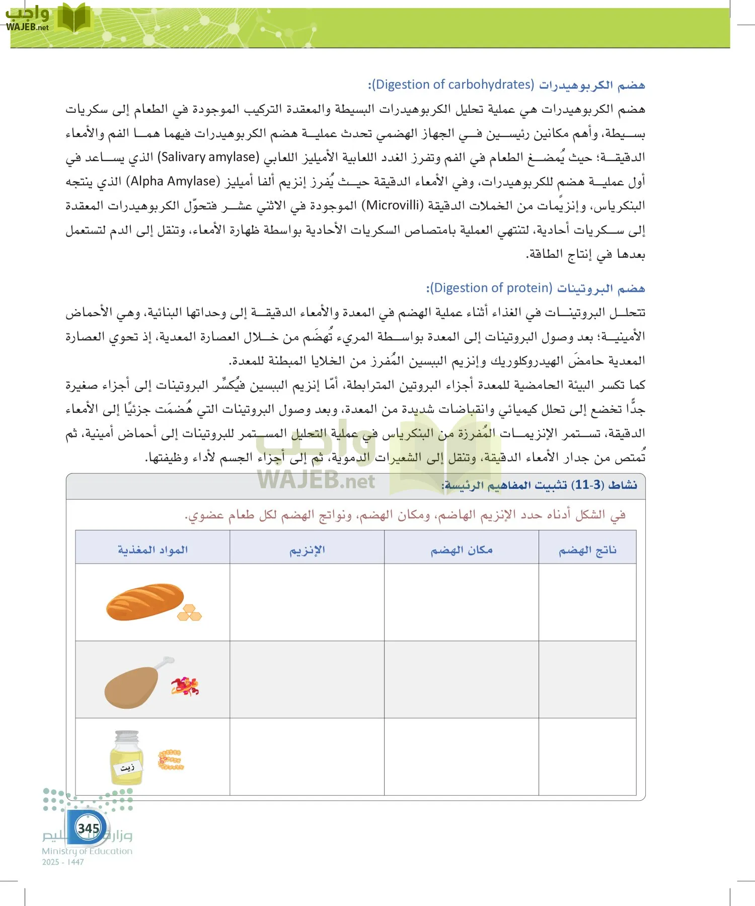 أنظمة جسم الإنسان page-344