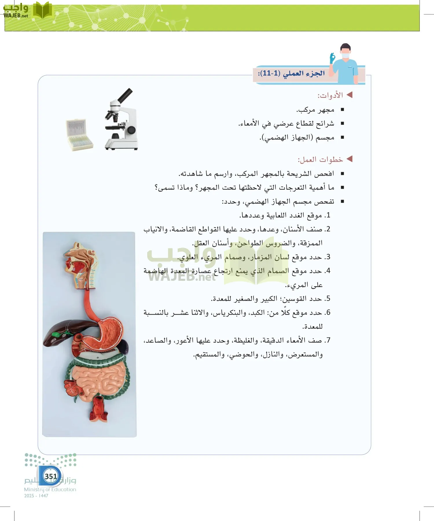 أنظمة جسم الإنسان page-350