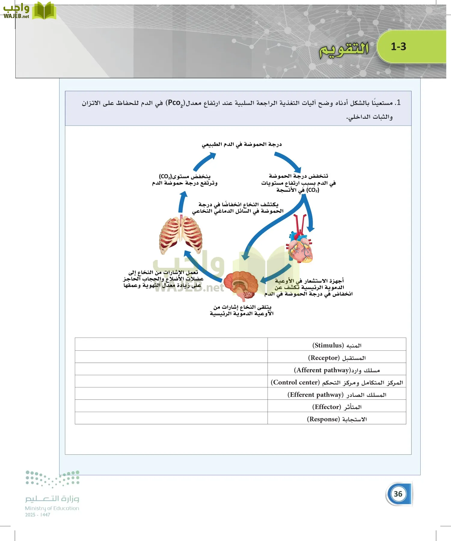 أنظمة جسم الإنسان page-35