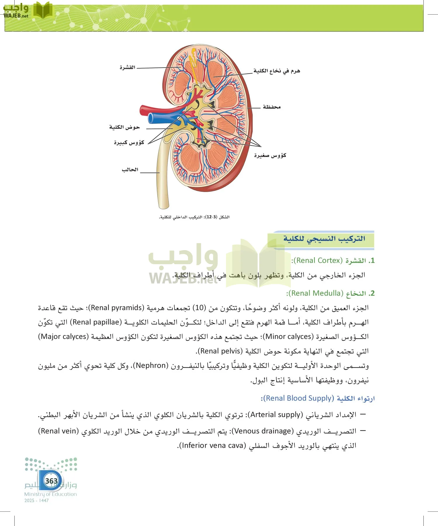 أنظمة جسم الإنسان page-362