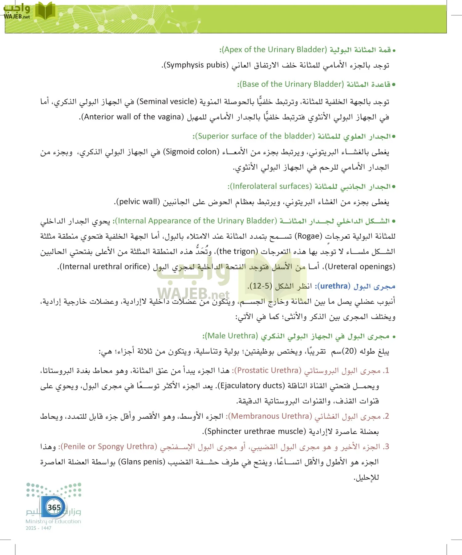 أنظمة جسم الإنسان page-364