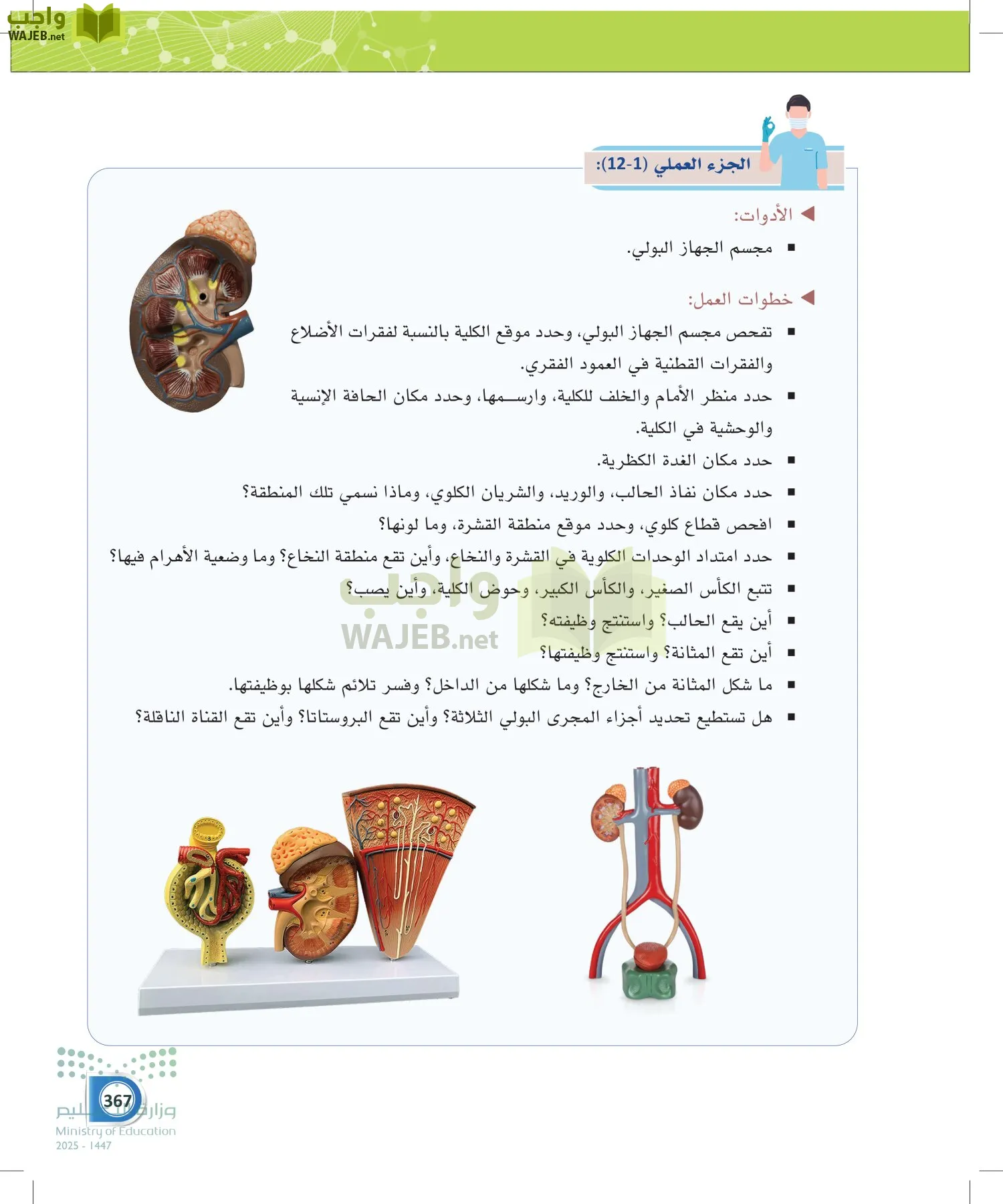 أنظمة جسم الإنسان page-366