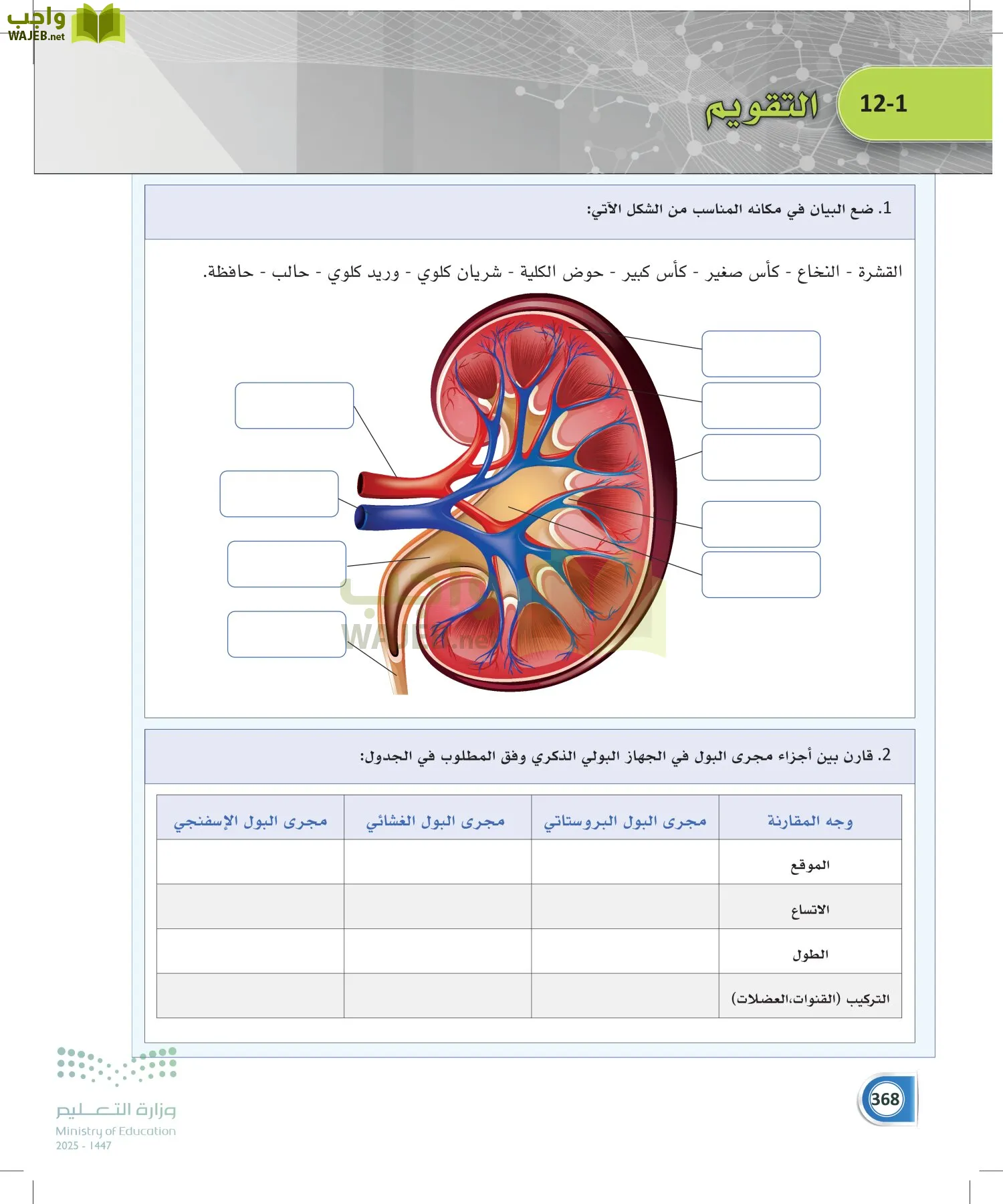 أنظمة جسم الإنسان page-367