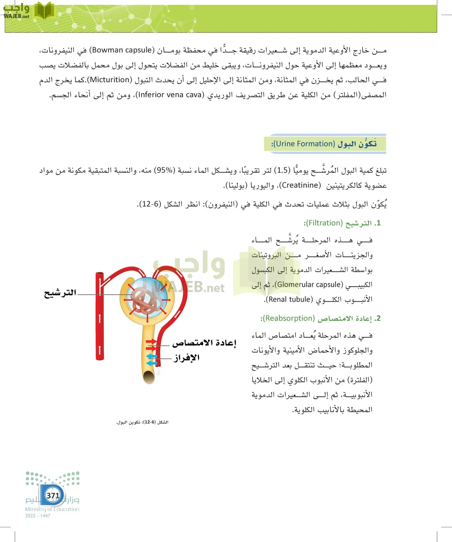 أنظمة جسم الإنسان page-370