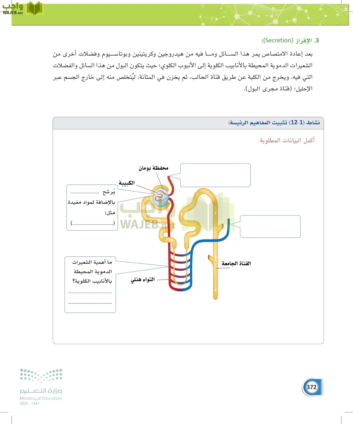 أنظمة جسم الإنسان page-371