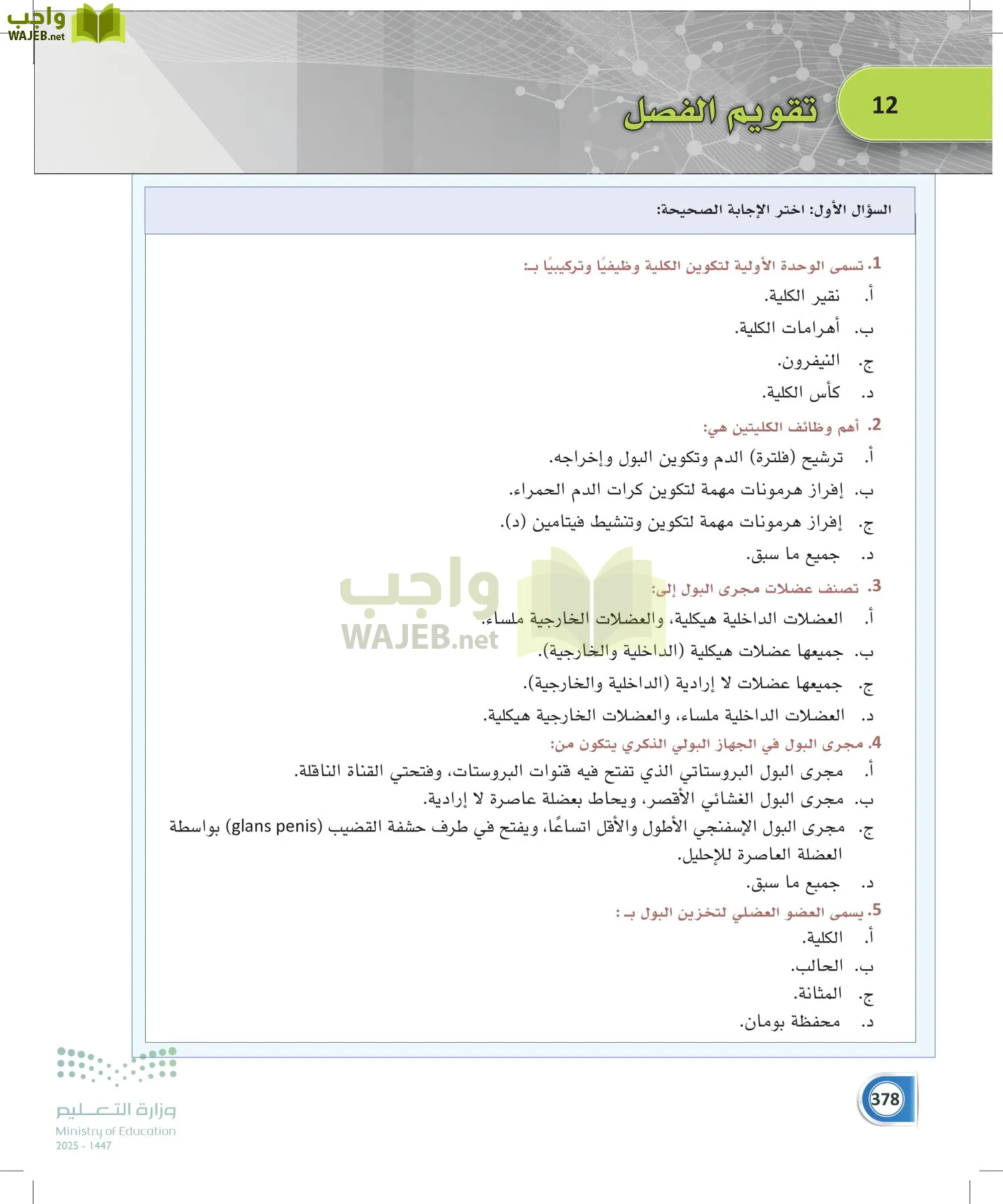 أنظمة جسم الإنسان page-377