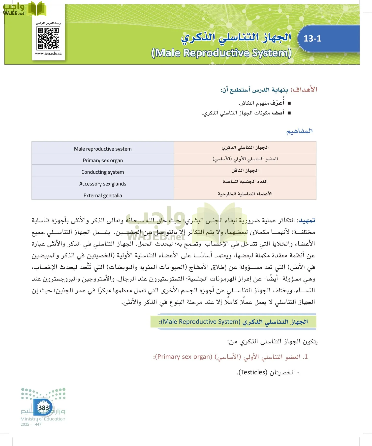 أنظمة جسم الإنسان page-382