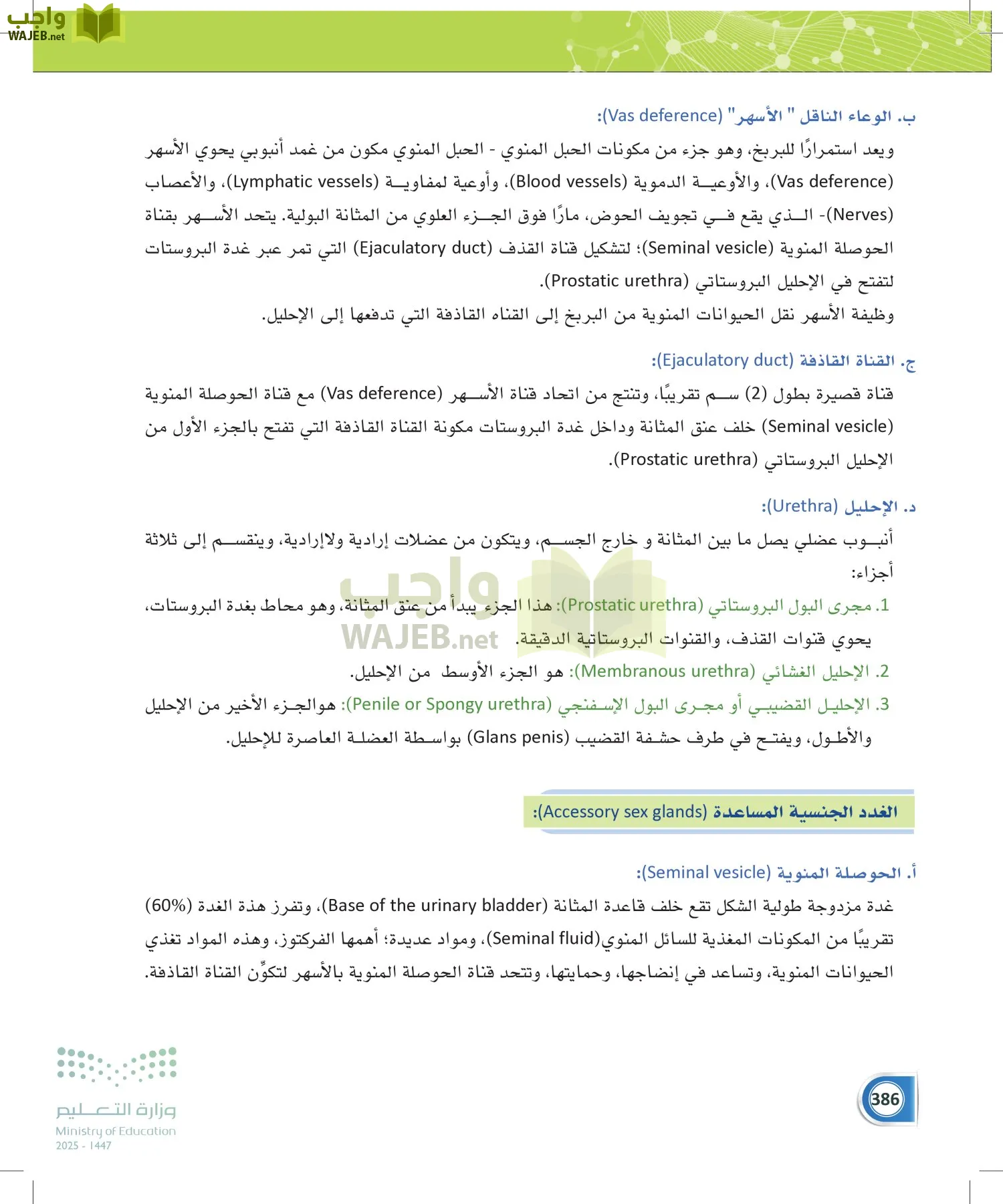 أنظمة جسم الإنسان page-385