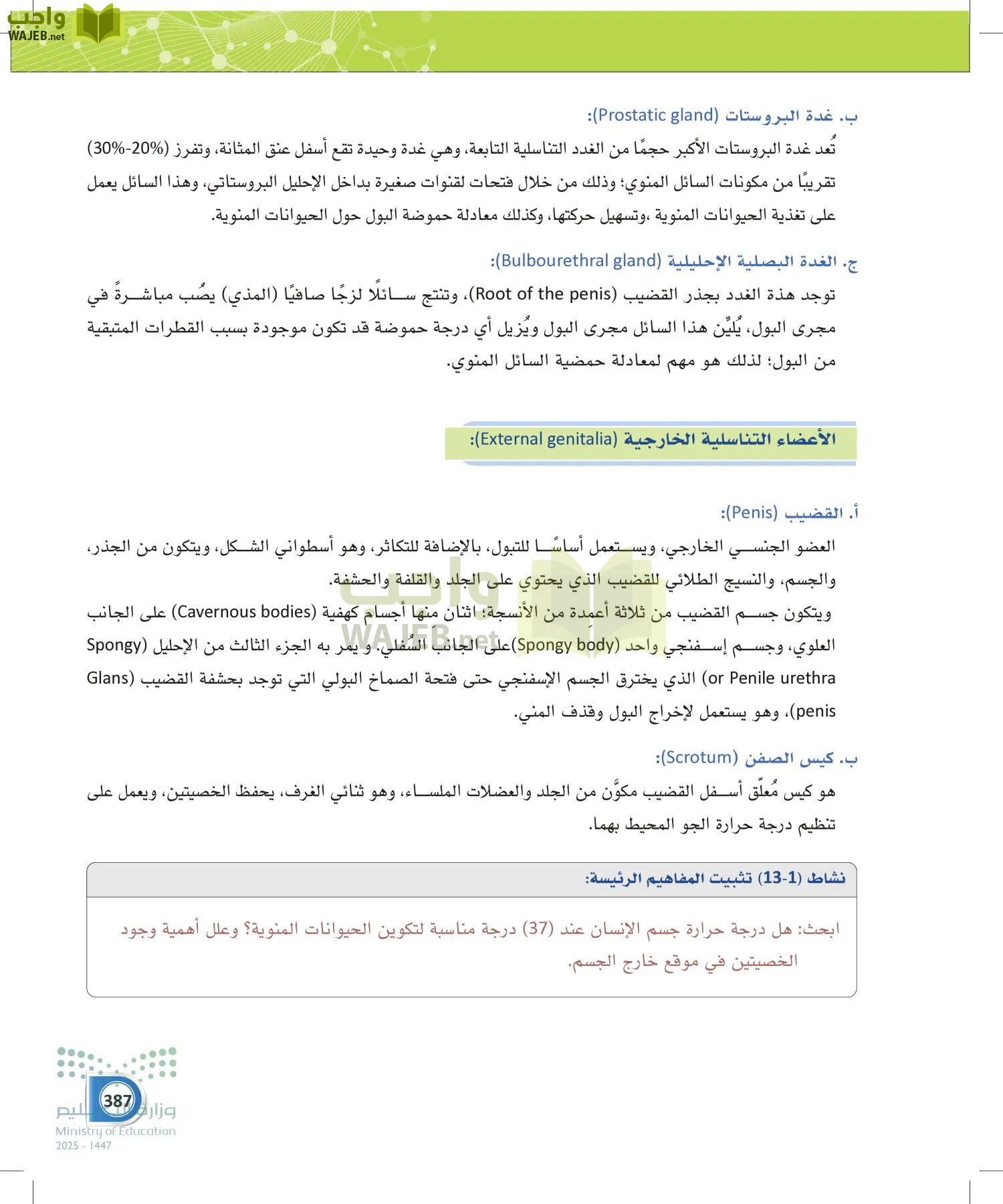 أنظمة جسم الإنسان page-386