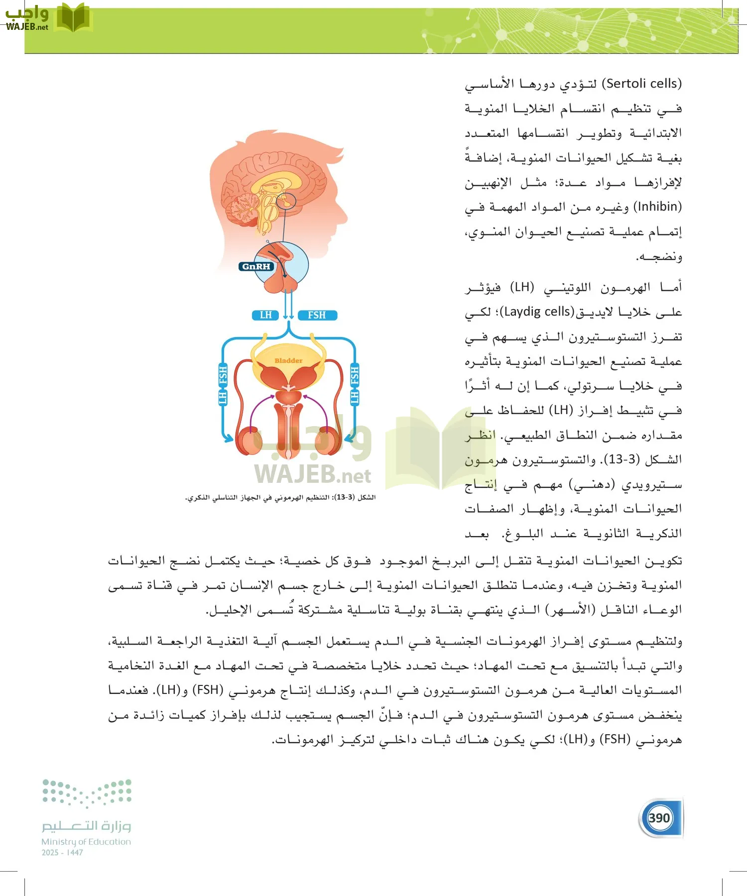 أنظمة جسم الإنسان page-389