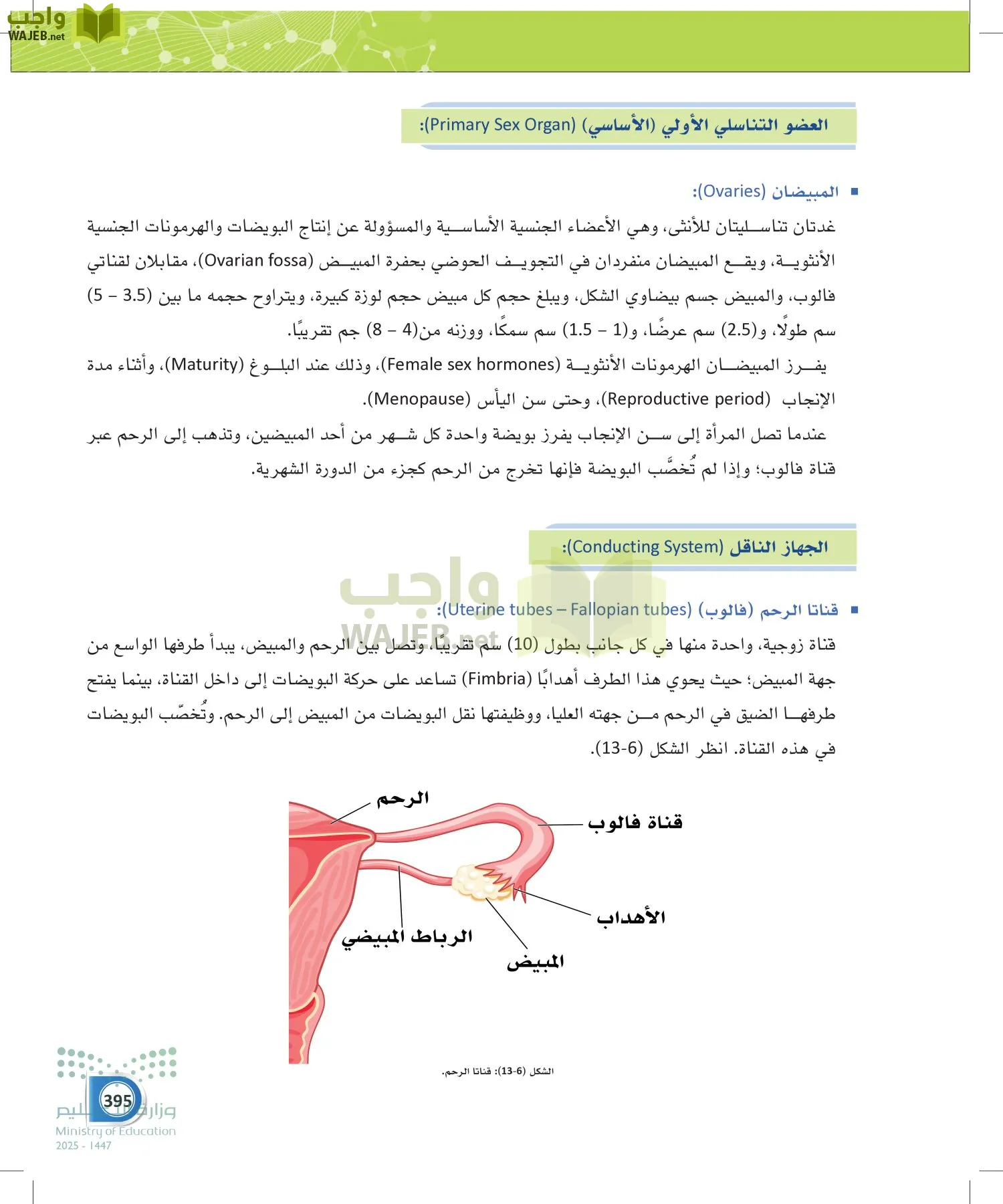 أنظمة جسم الإنسان page-394