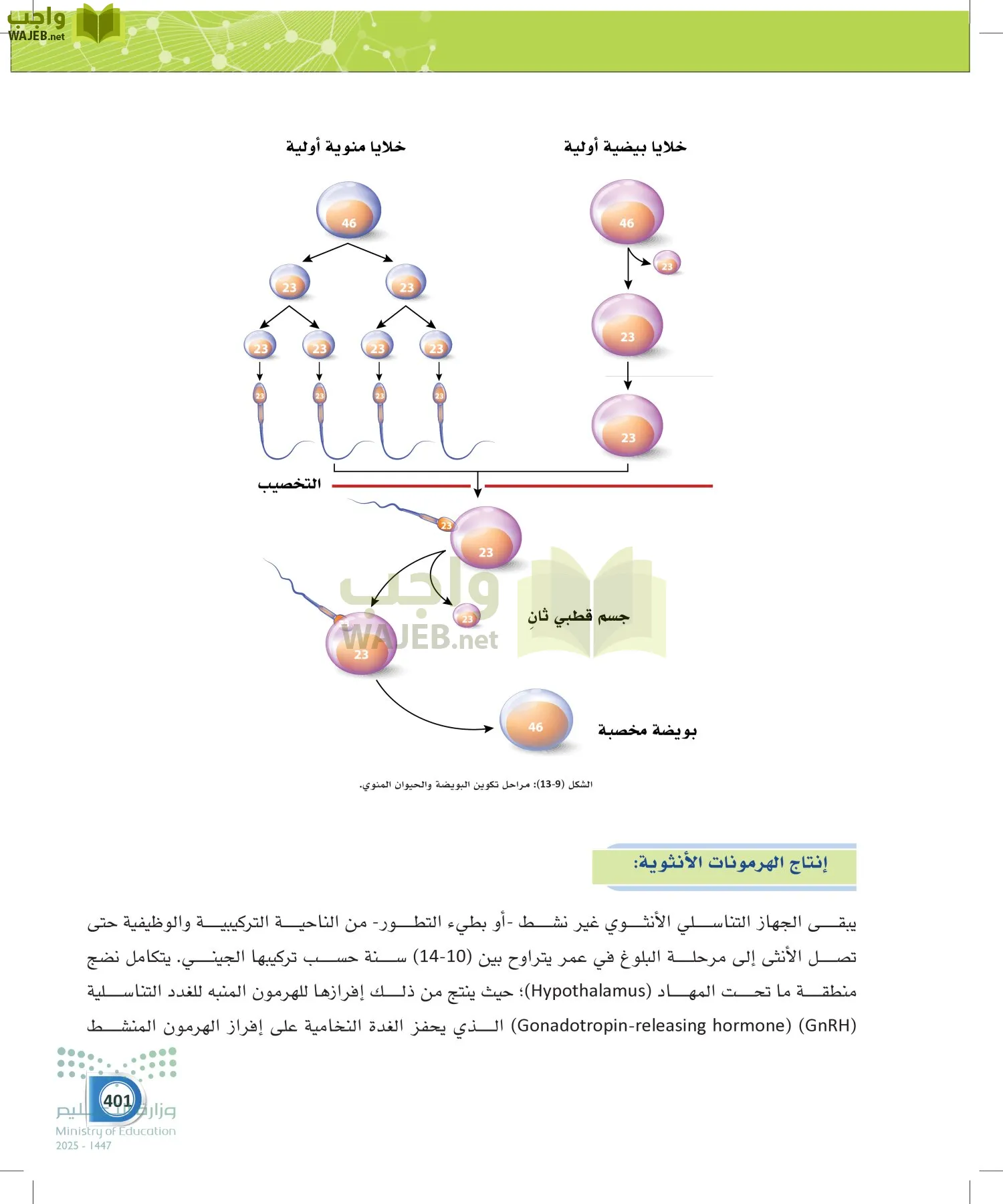 أنظمة جسم الإنسان page-400