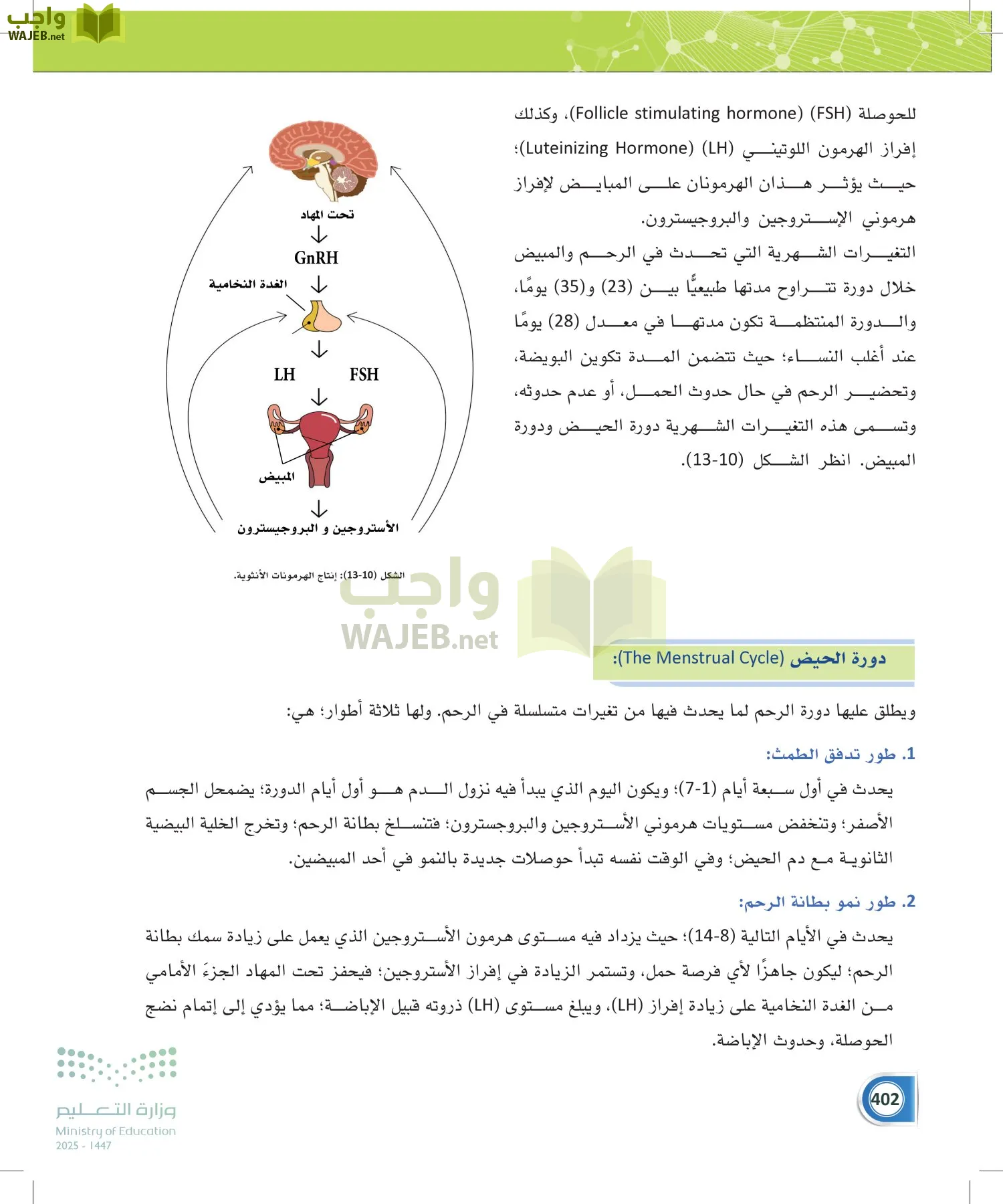 أنظمة جسم الإنسان page-401
