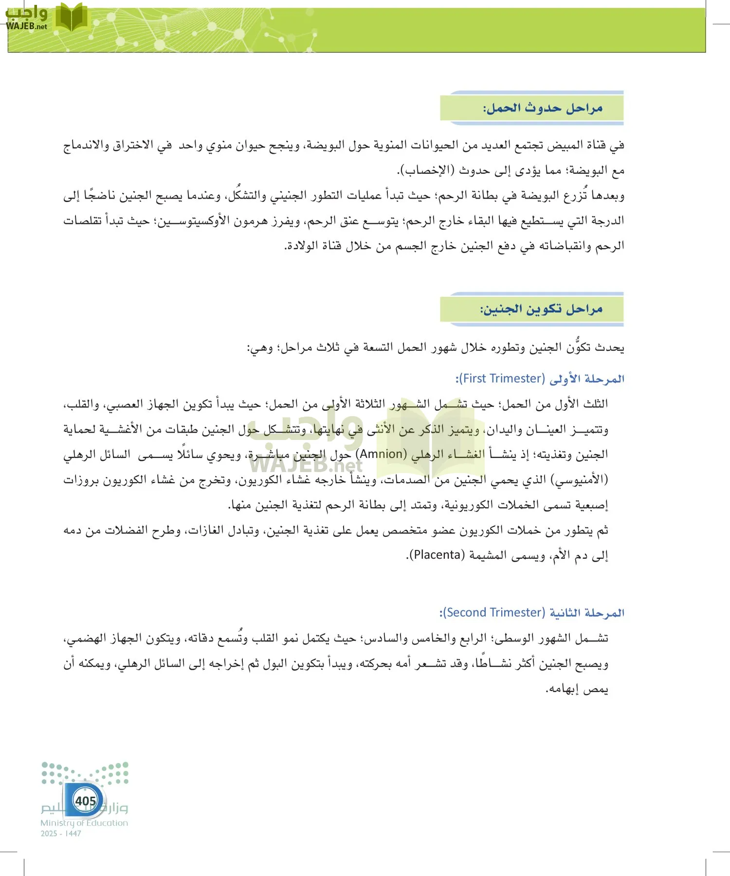 أنظمة جسم الإنسان page-404