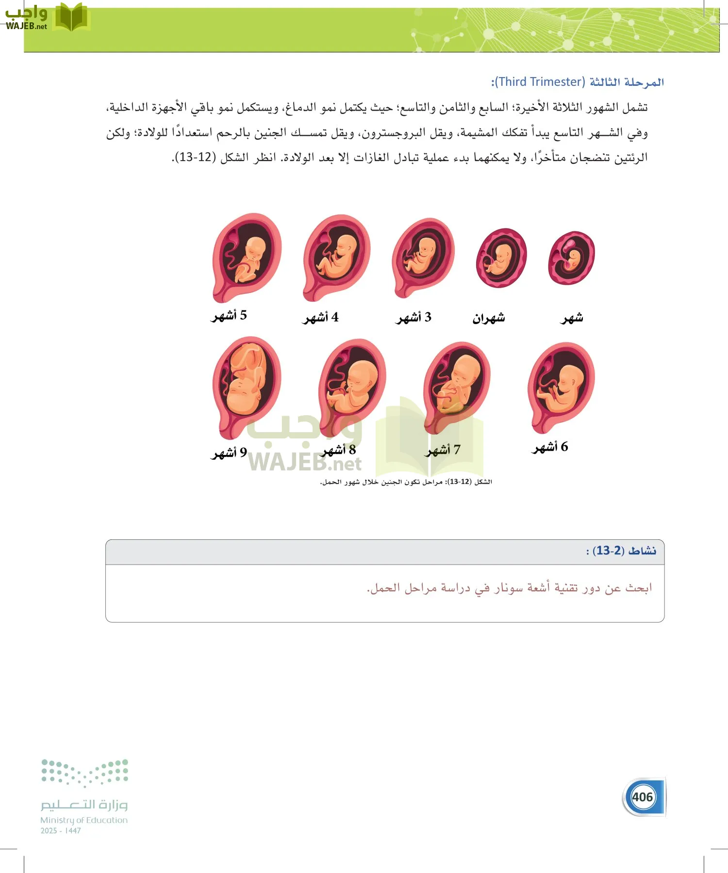 أنظمة جسم الإنسان page-405