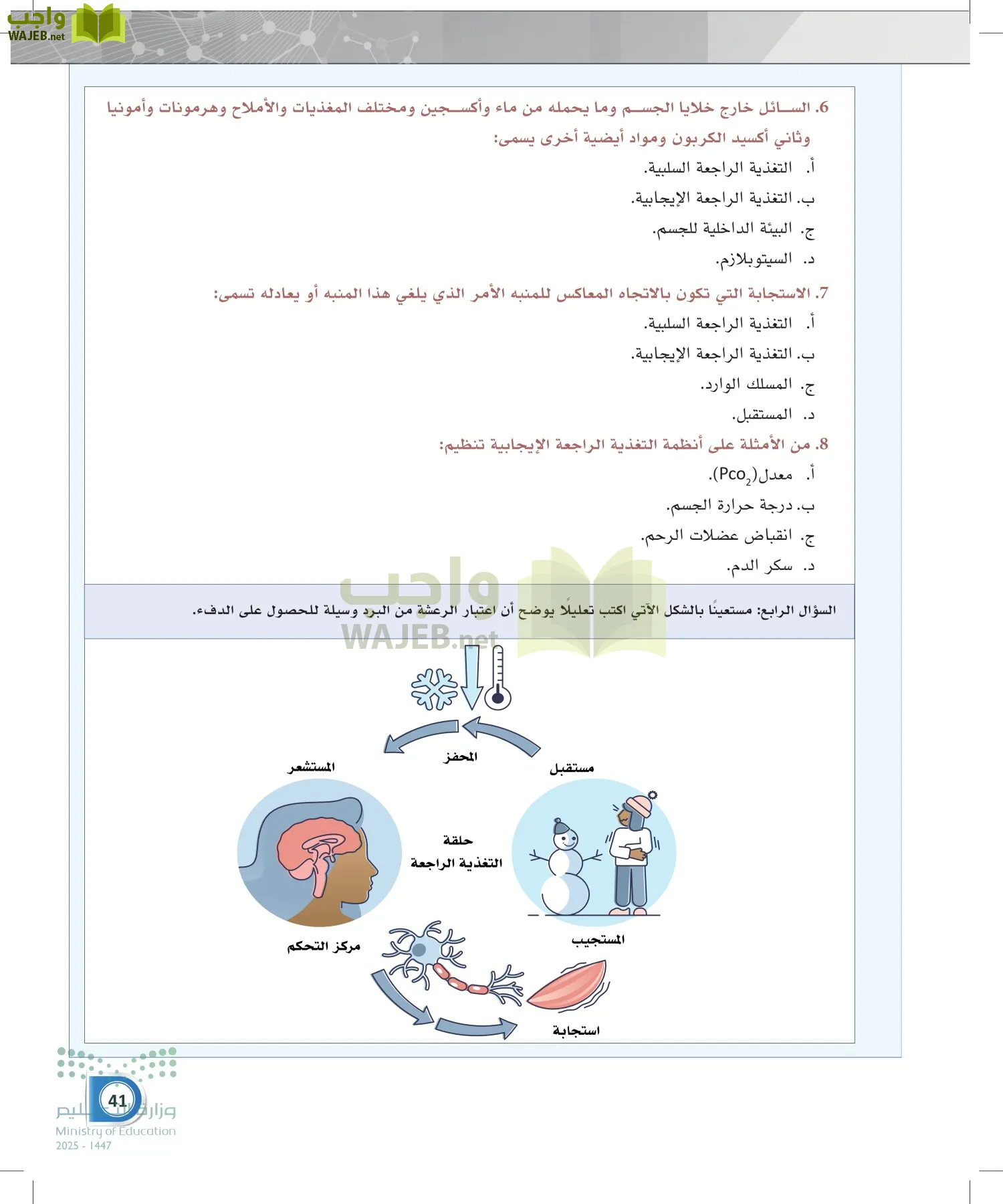أنظمة جسم الإنسان page-40