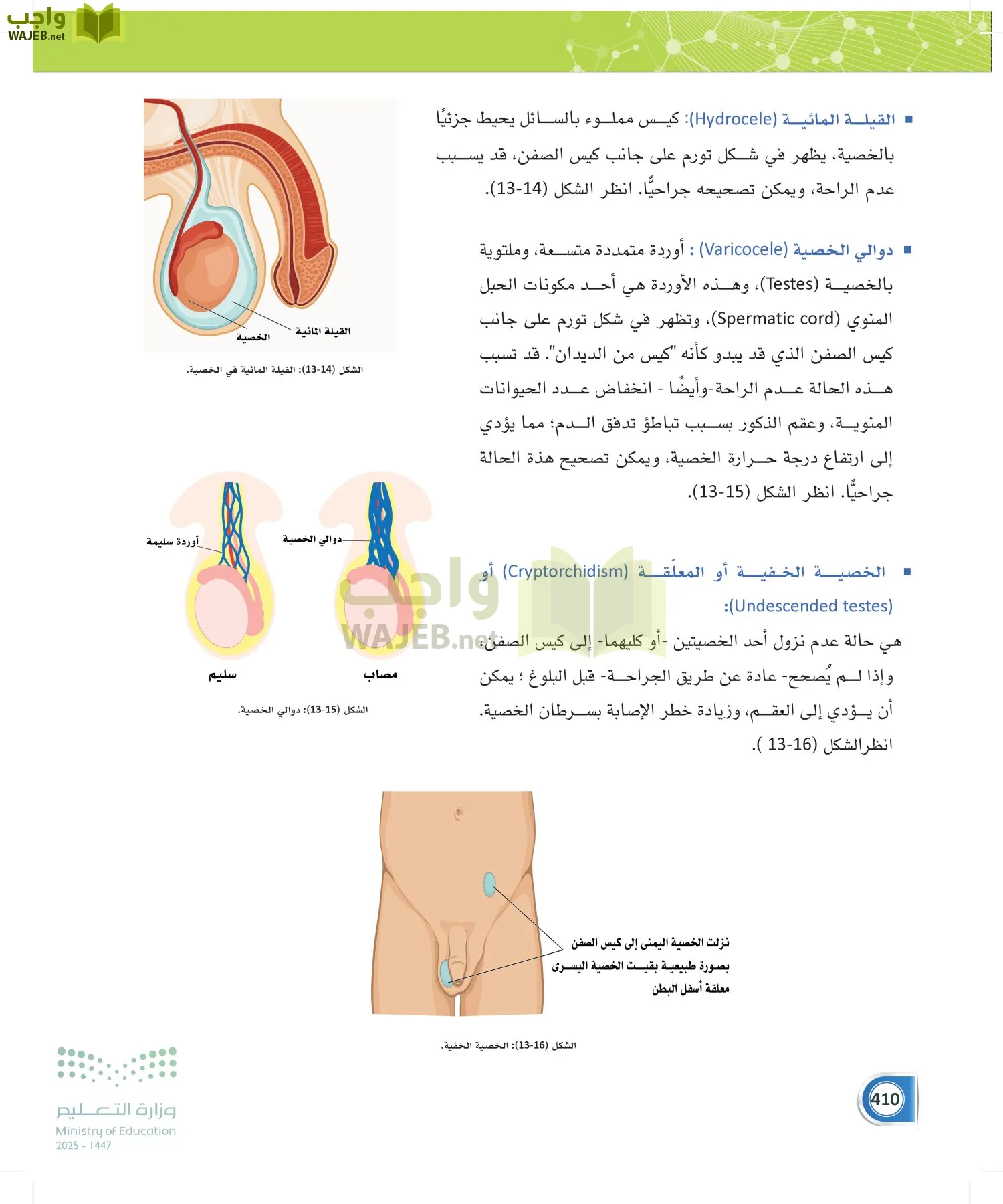 أنظمة جسم الإنسان page-409