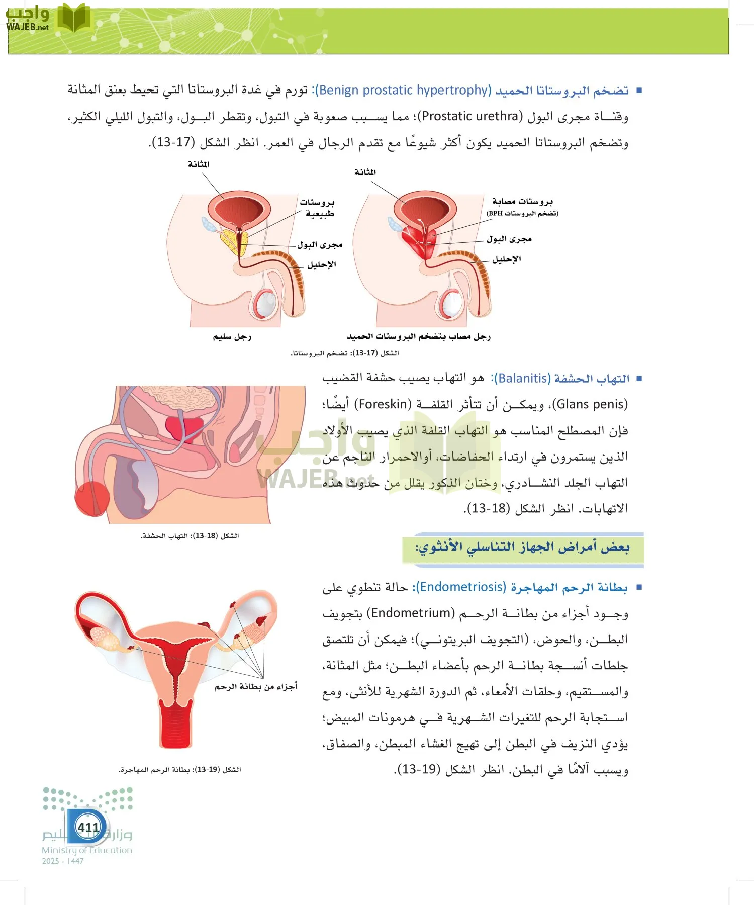 أنظمة جسم الإنسان page-410
