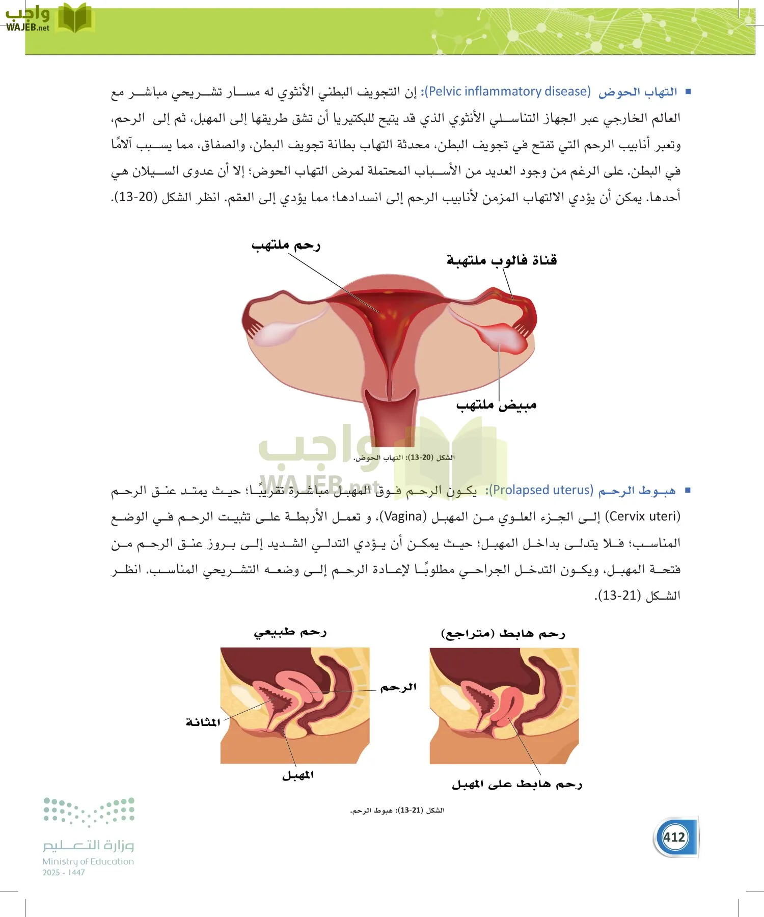 أنظمة جسم الإنسان page-411