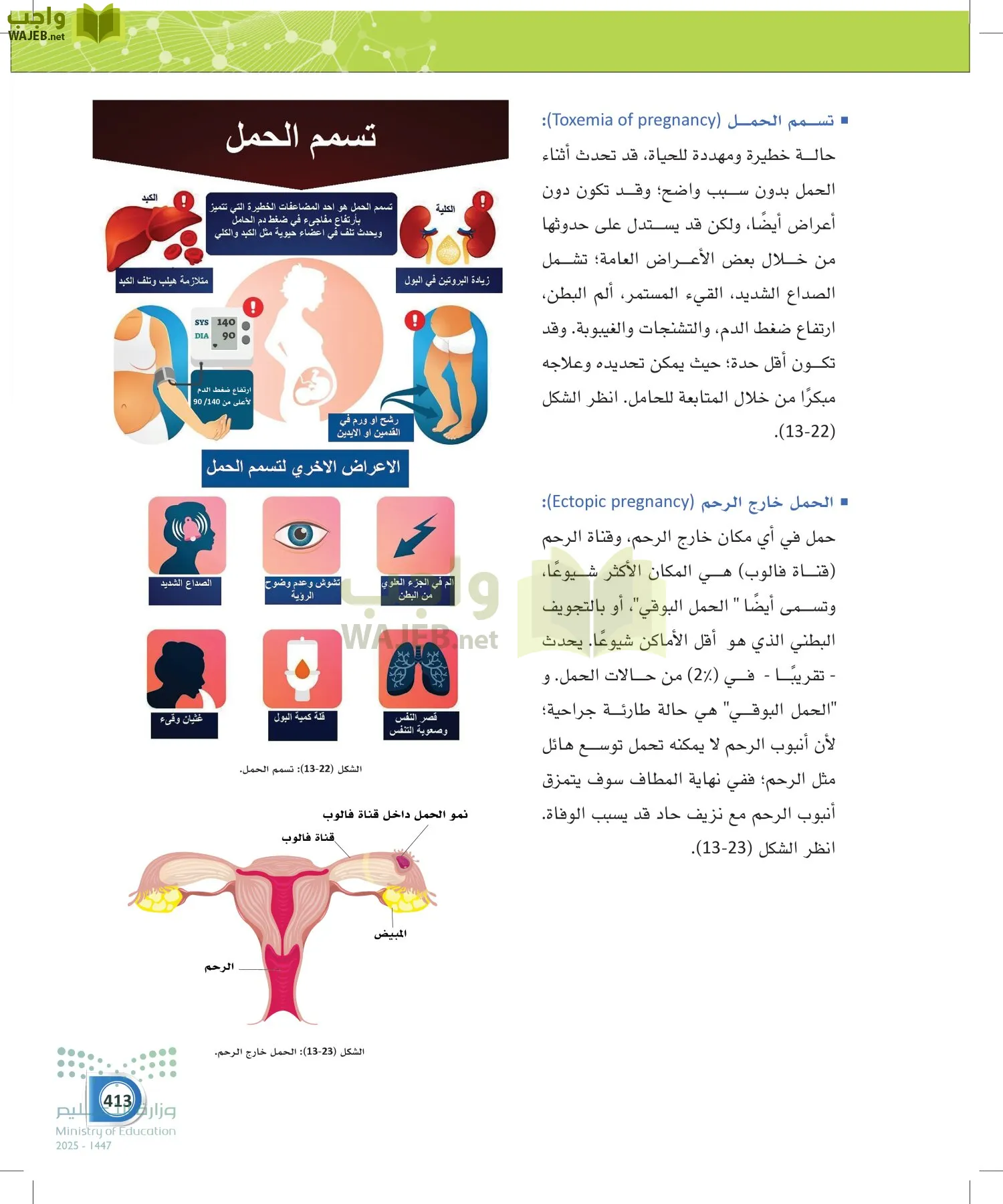 أنظمة جسم الإنسان page-412