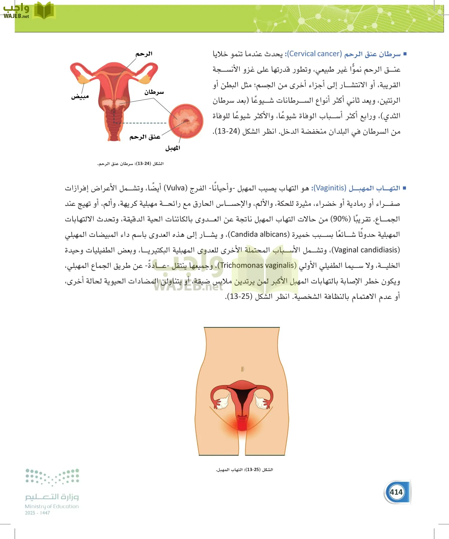 أنظمة جسم الإنسان page-413