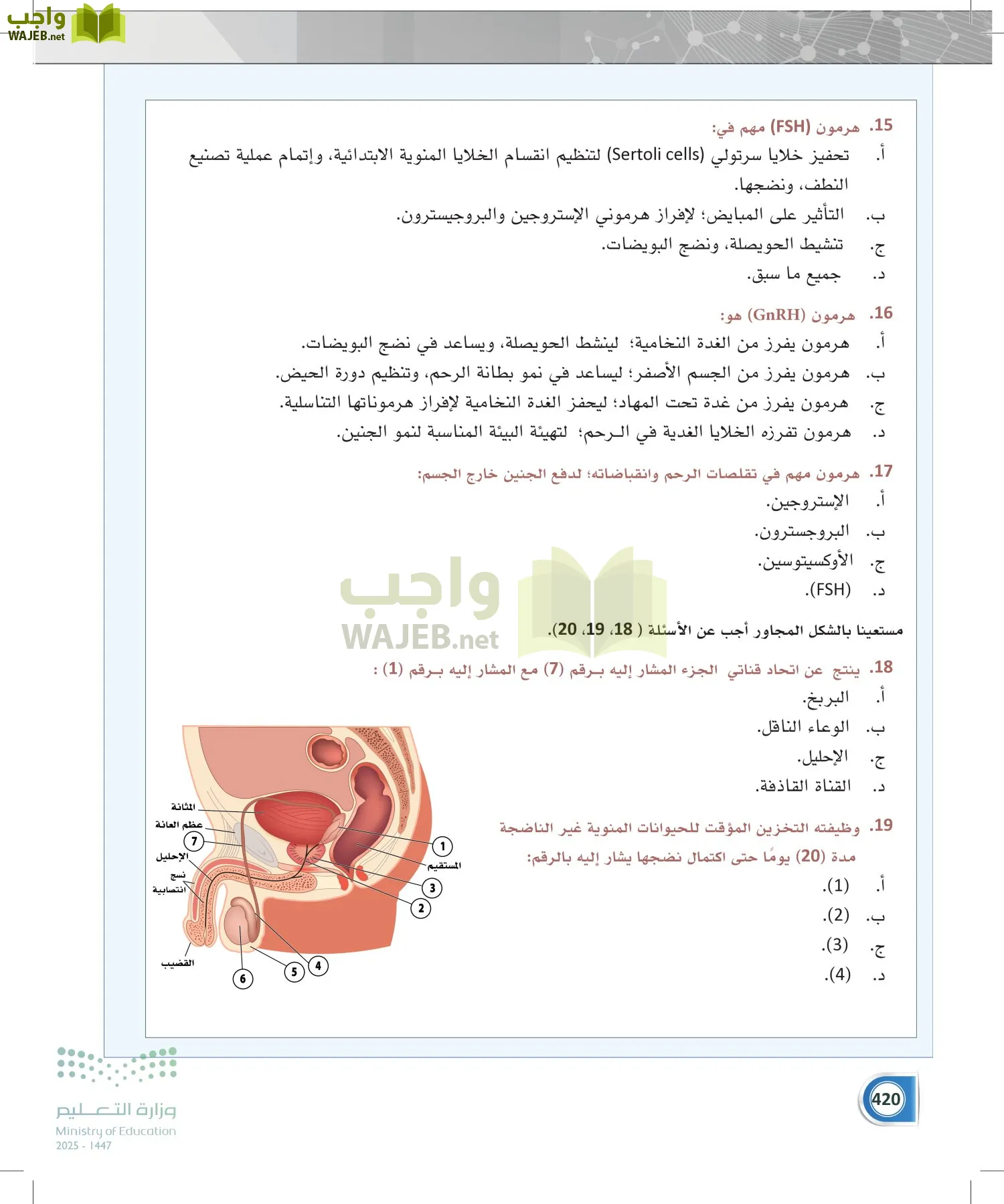 أنظمة جسم الإنسان page-419