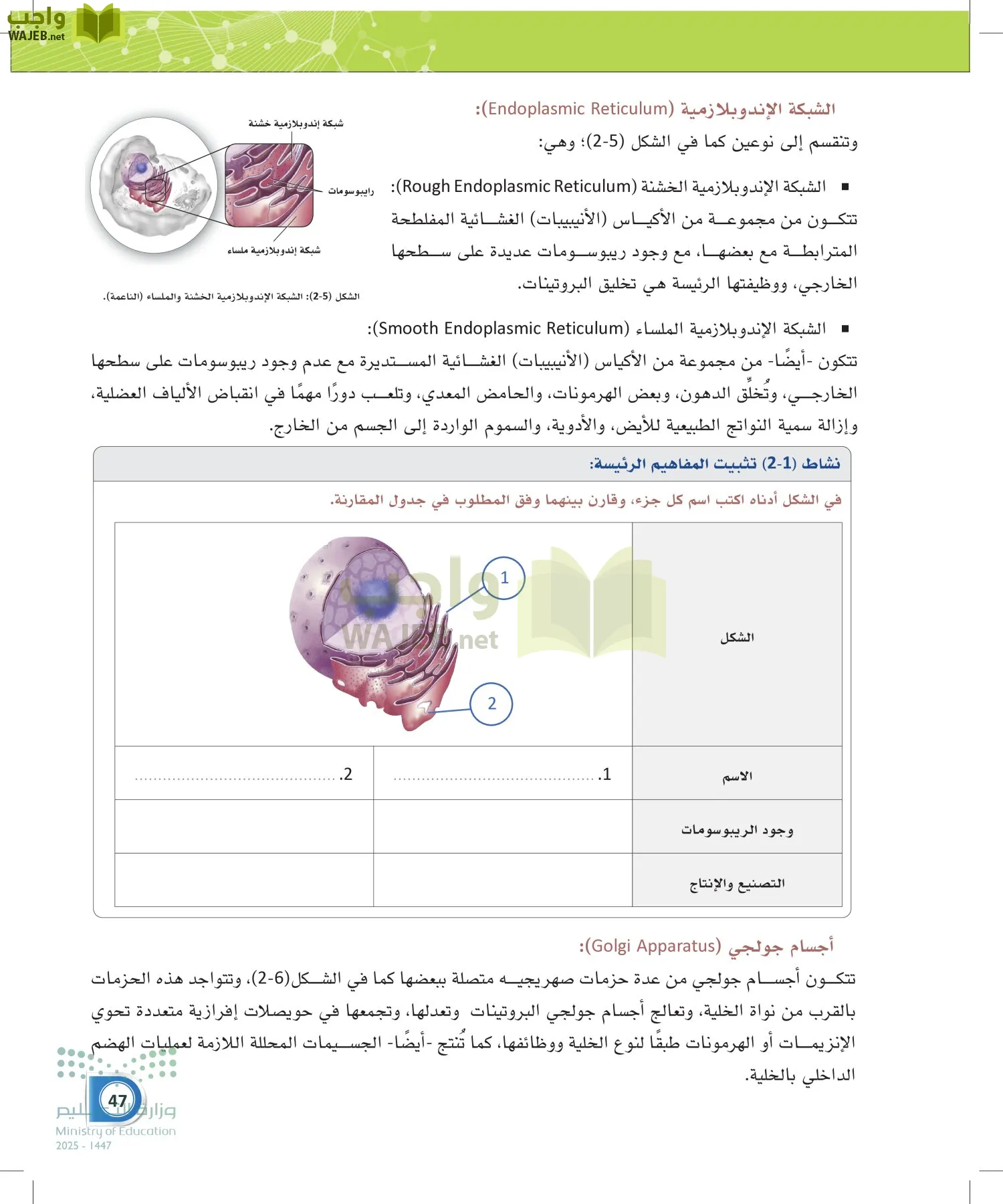أنظمة جسم الإنسان page-46