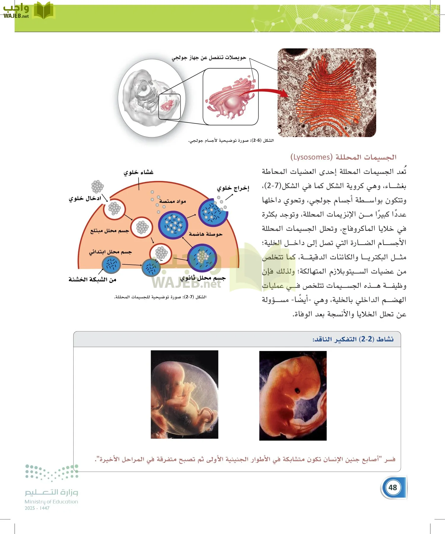 أنظمة جسم الإنسان page-47