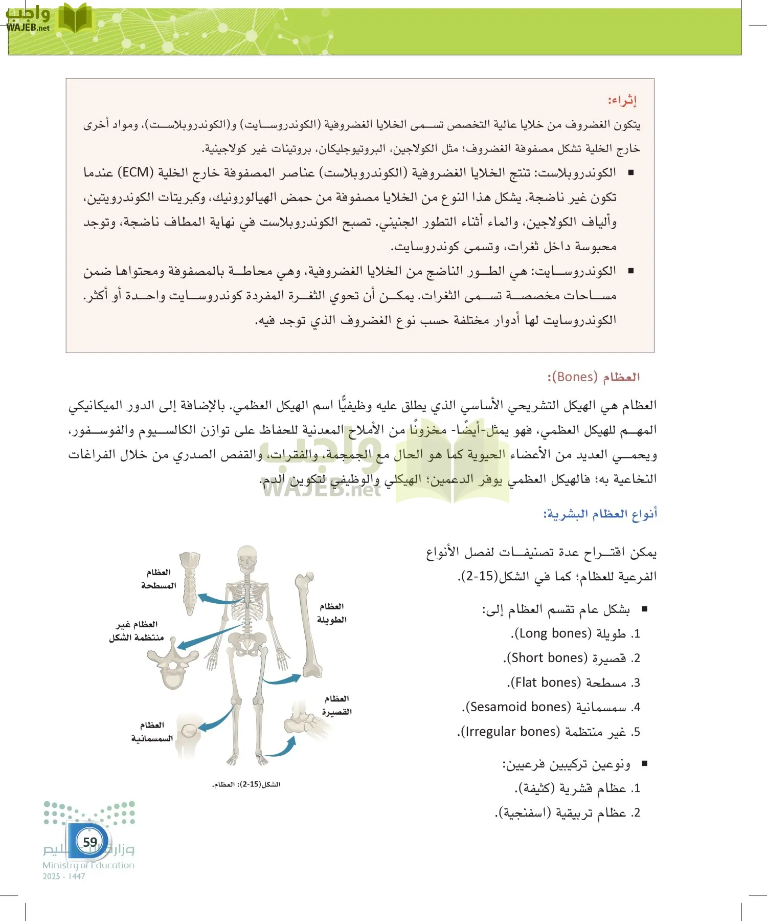 أنظمة جسم الإنسان page-58