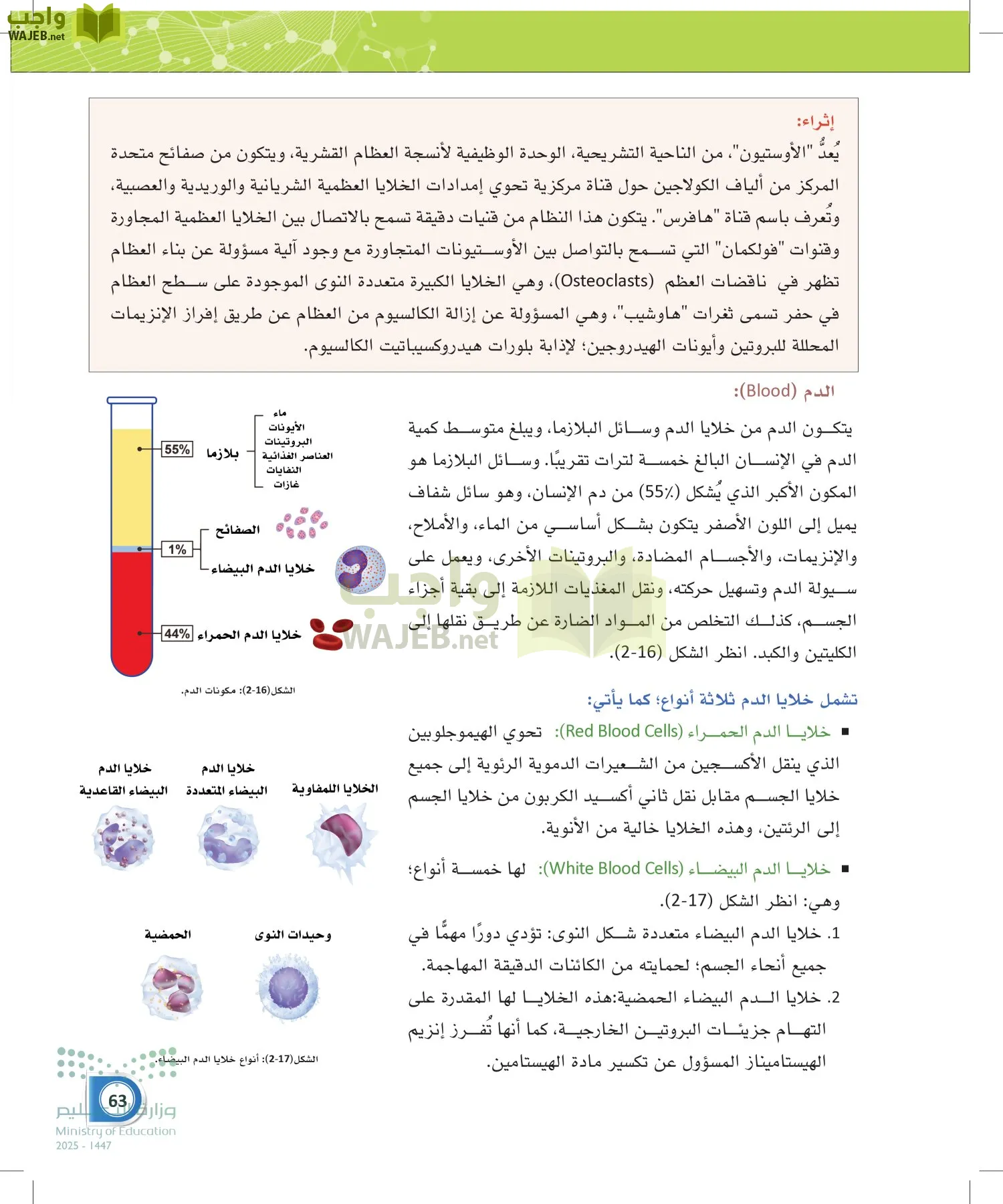 أنظمة جسم الإنسان page-62