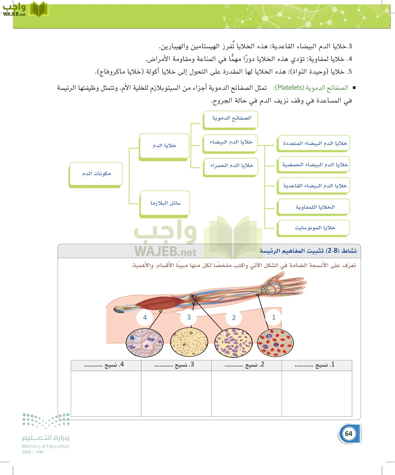 أنظمة جسم الإنسان page-63