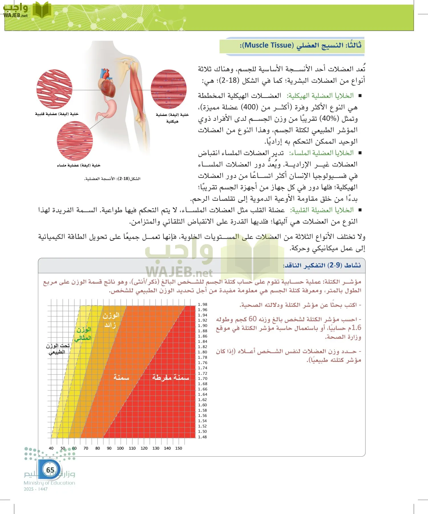 أنظمة جسم الإنسان page-64