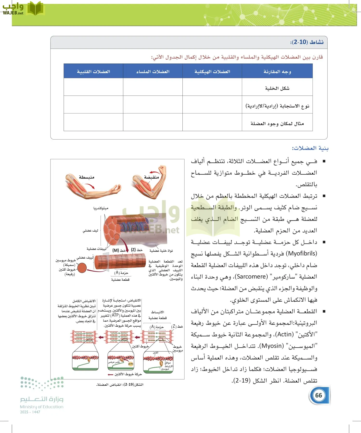 أنظمة جسم الإنسان page-65