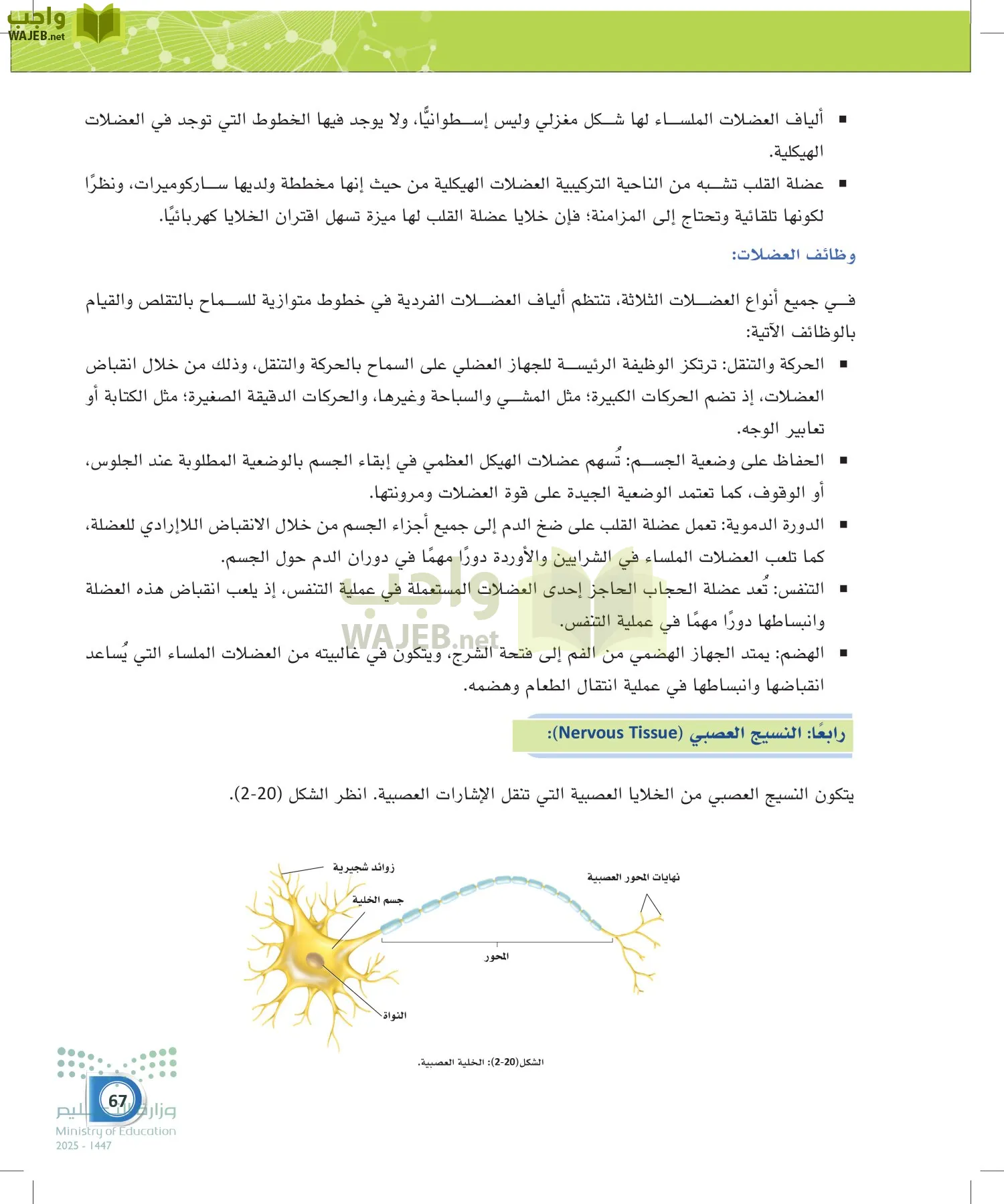 أنظمة جسم الإنسان page-66