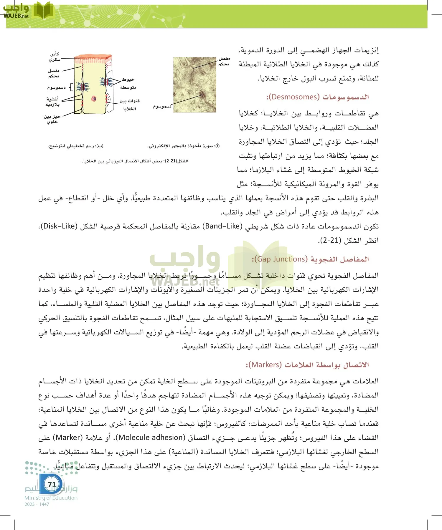 أنظمة جسم الإنسان page-70
