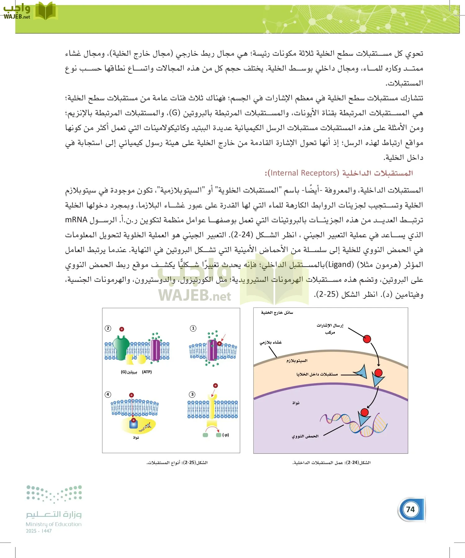 أنظمة جسم الإنسان page-73