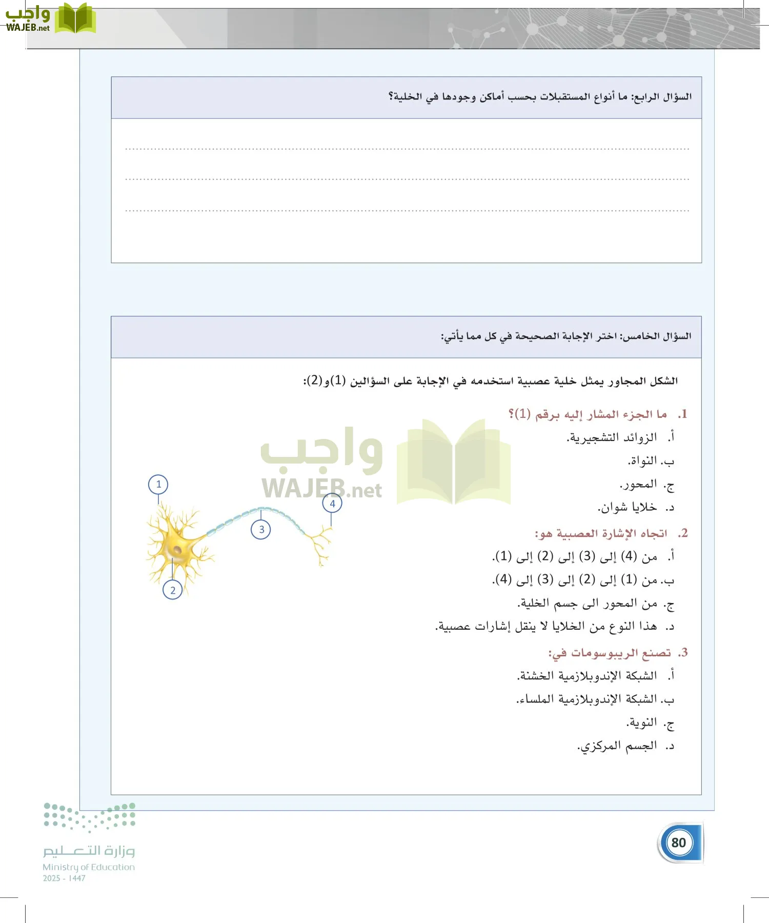 أنظمة جسم الإنسان page-79