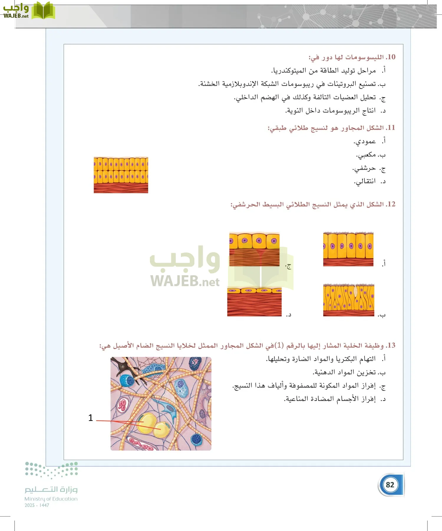 أنظمة جسم الإنسان page-81