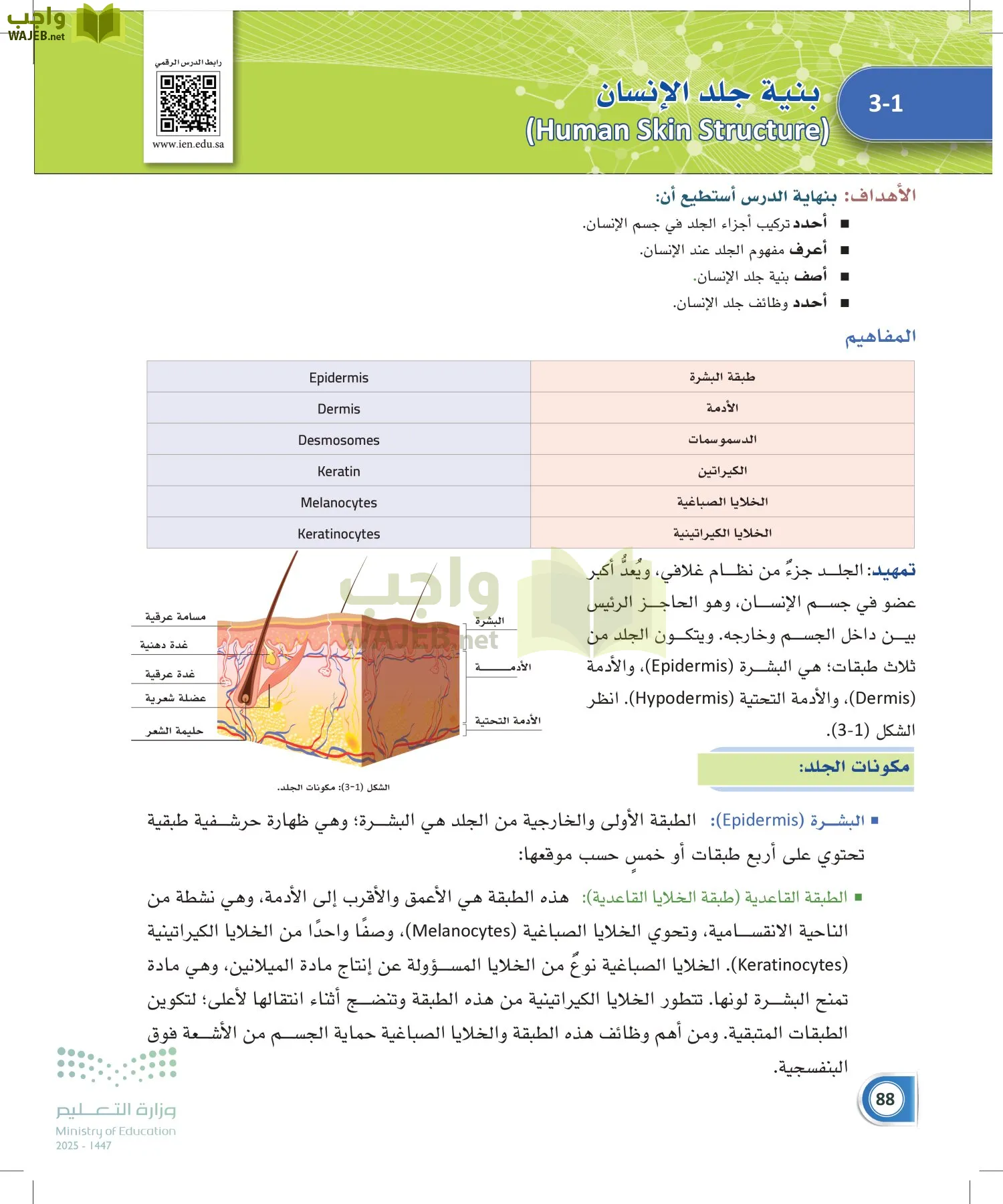 أنظمة جسم الإنسان page-87