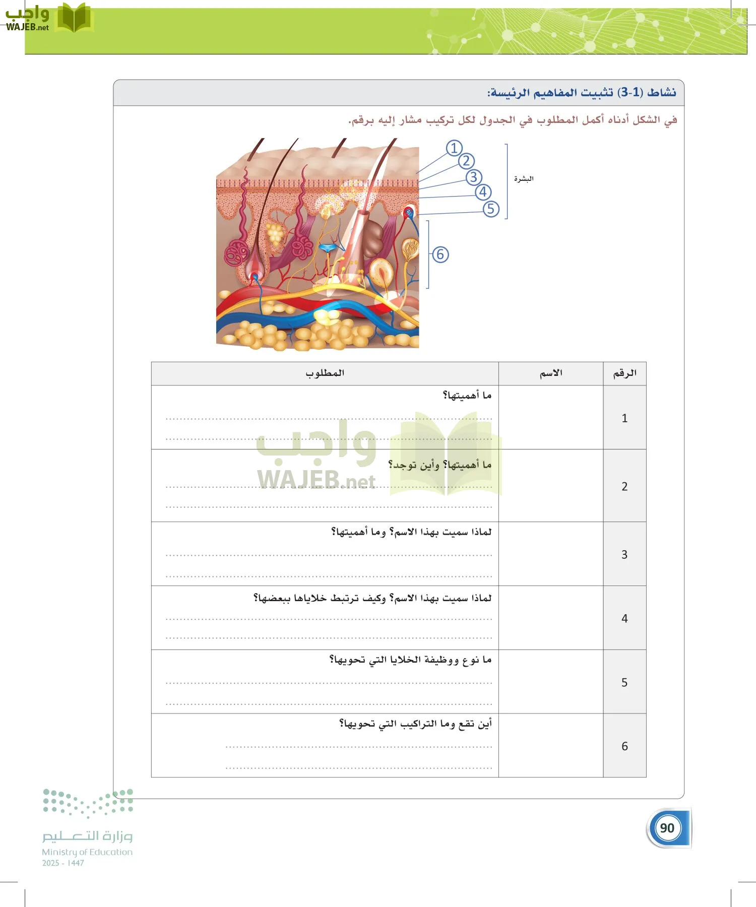 أنظمة جسم الإنسان page-89