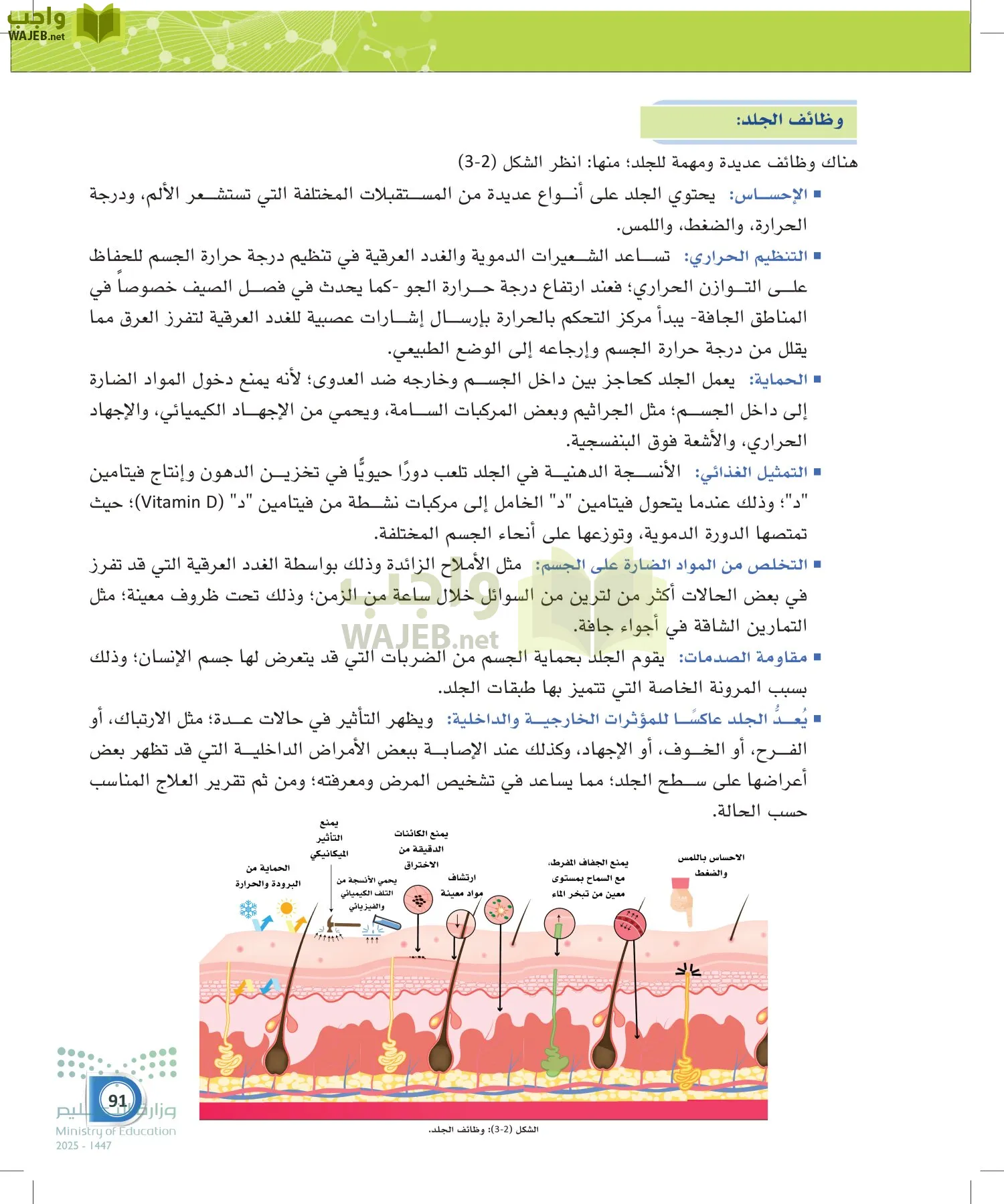 أنظمة جسم الإنسان page-90