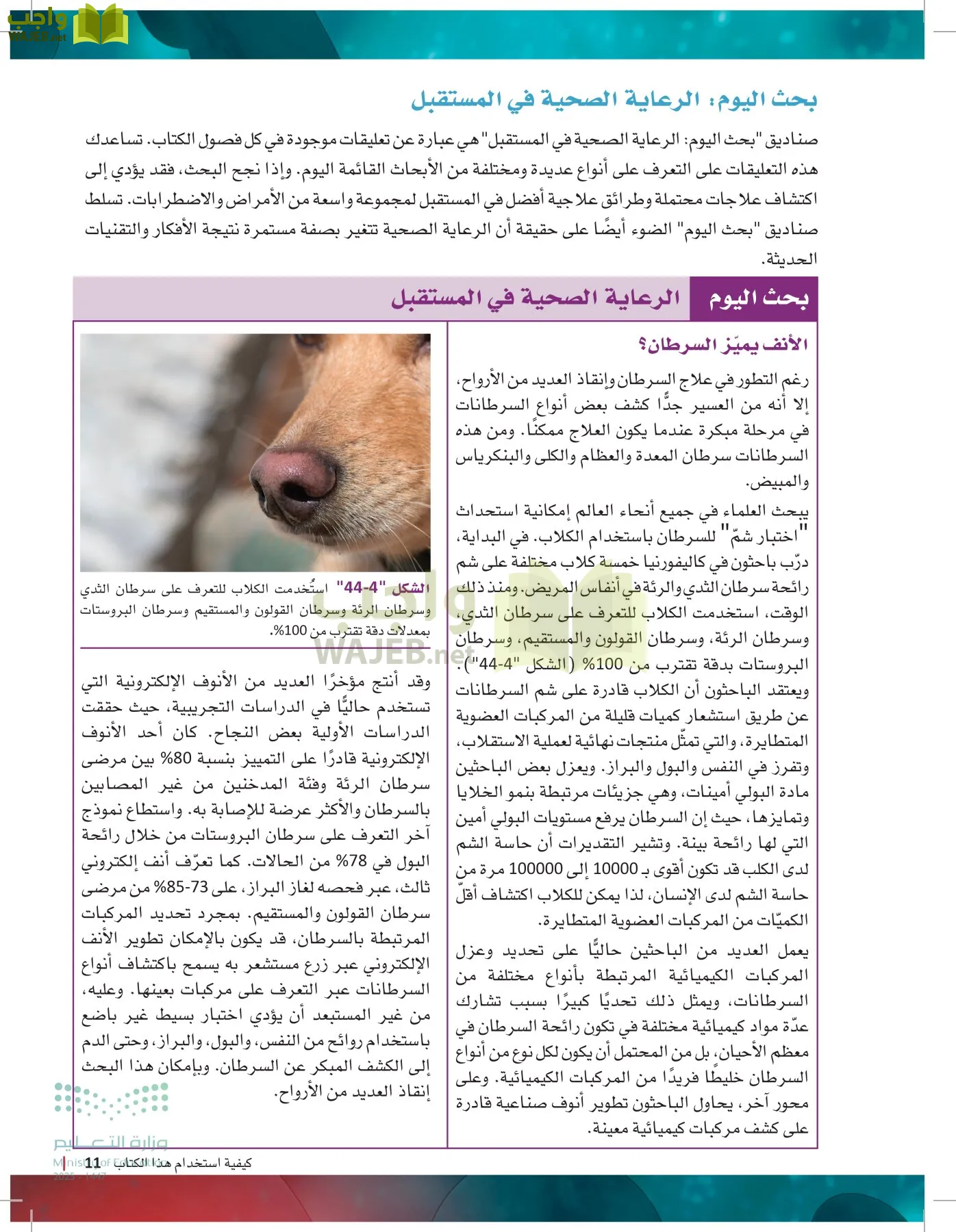 الرعاية الصحية page-10