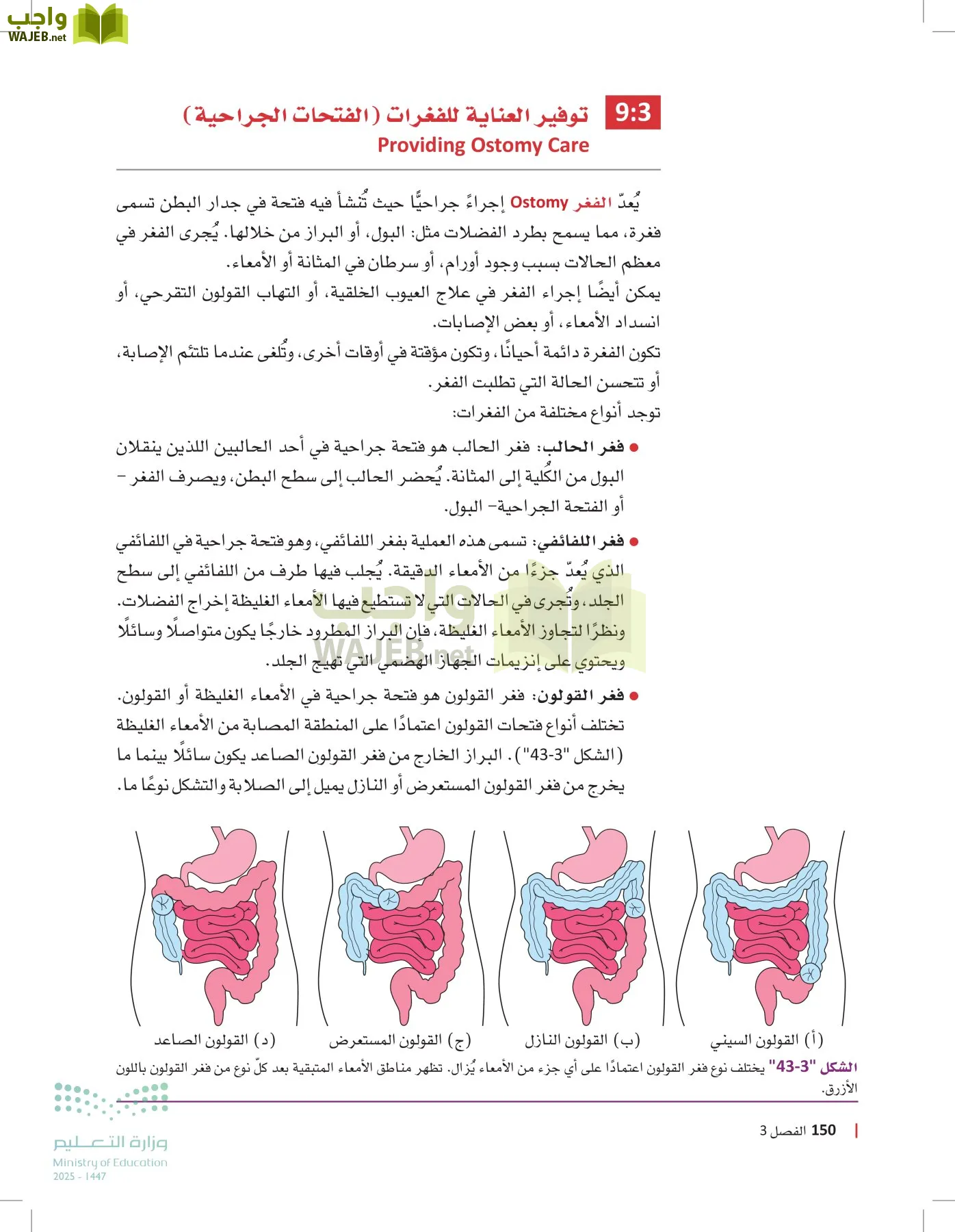 الرعاية الصحية page-149