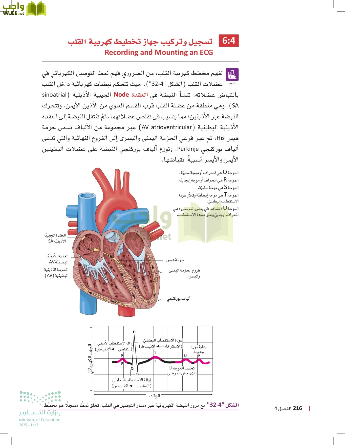 الرعاية الصحية page-215
