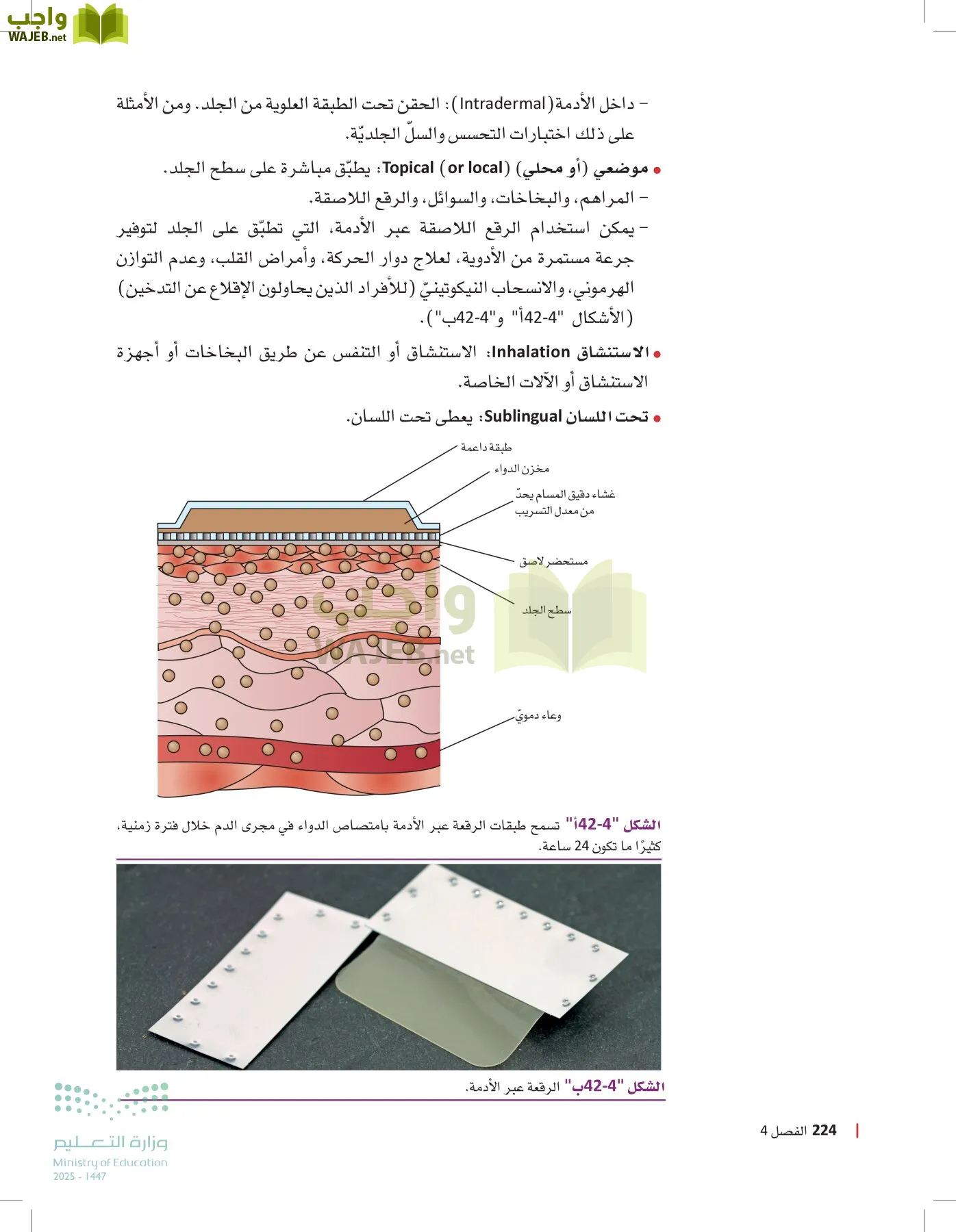 الرعاية الصحية page-223