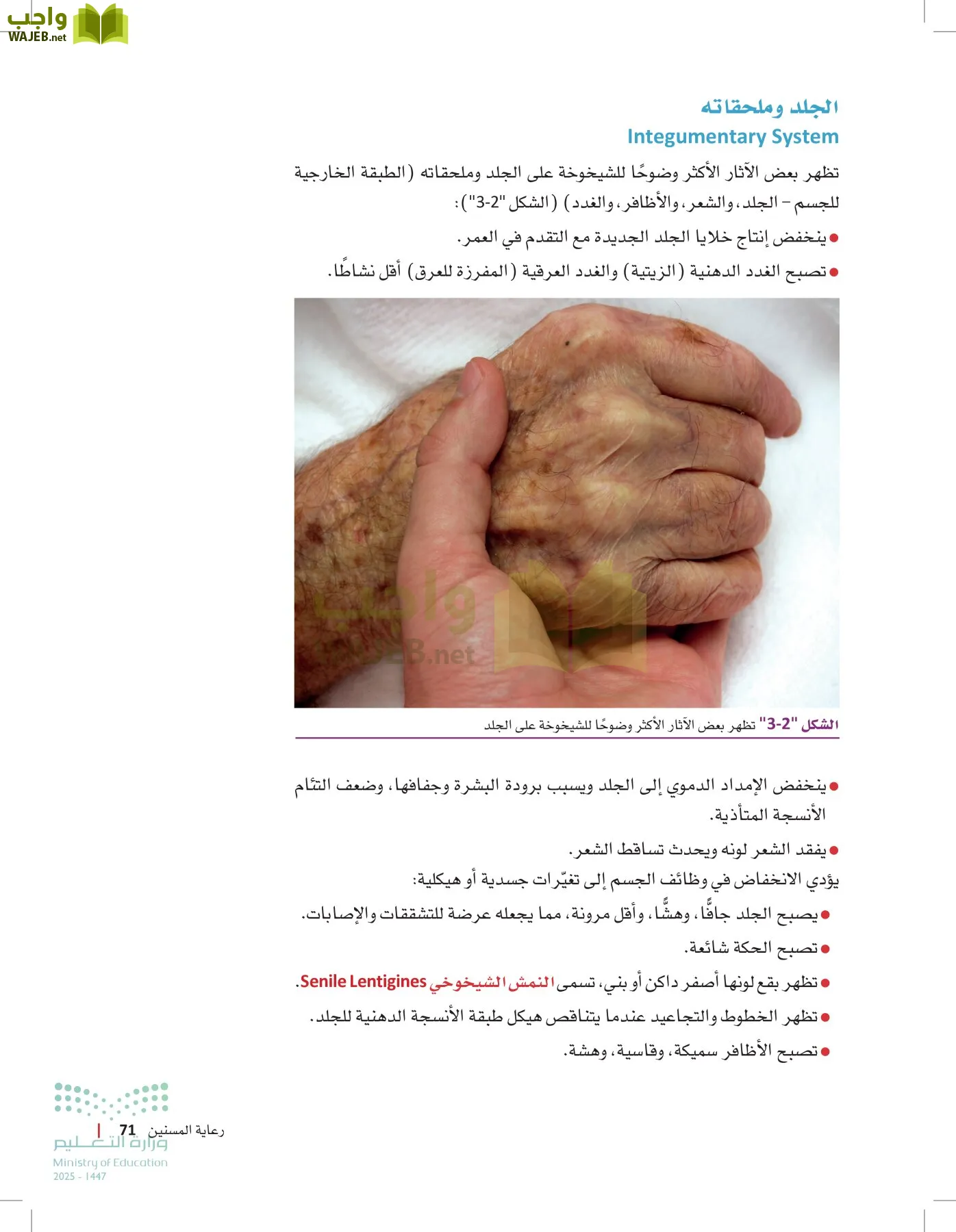 الرعاية الصحية page-70