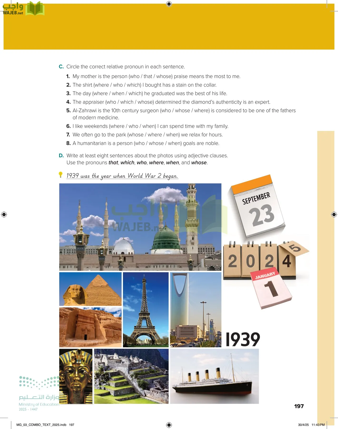 MEGA GOAL 3 page-202