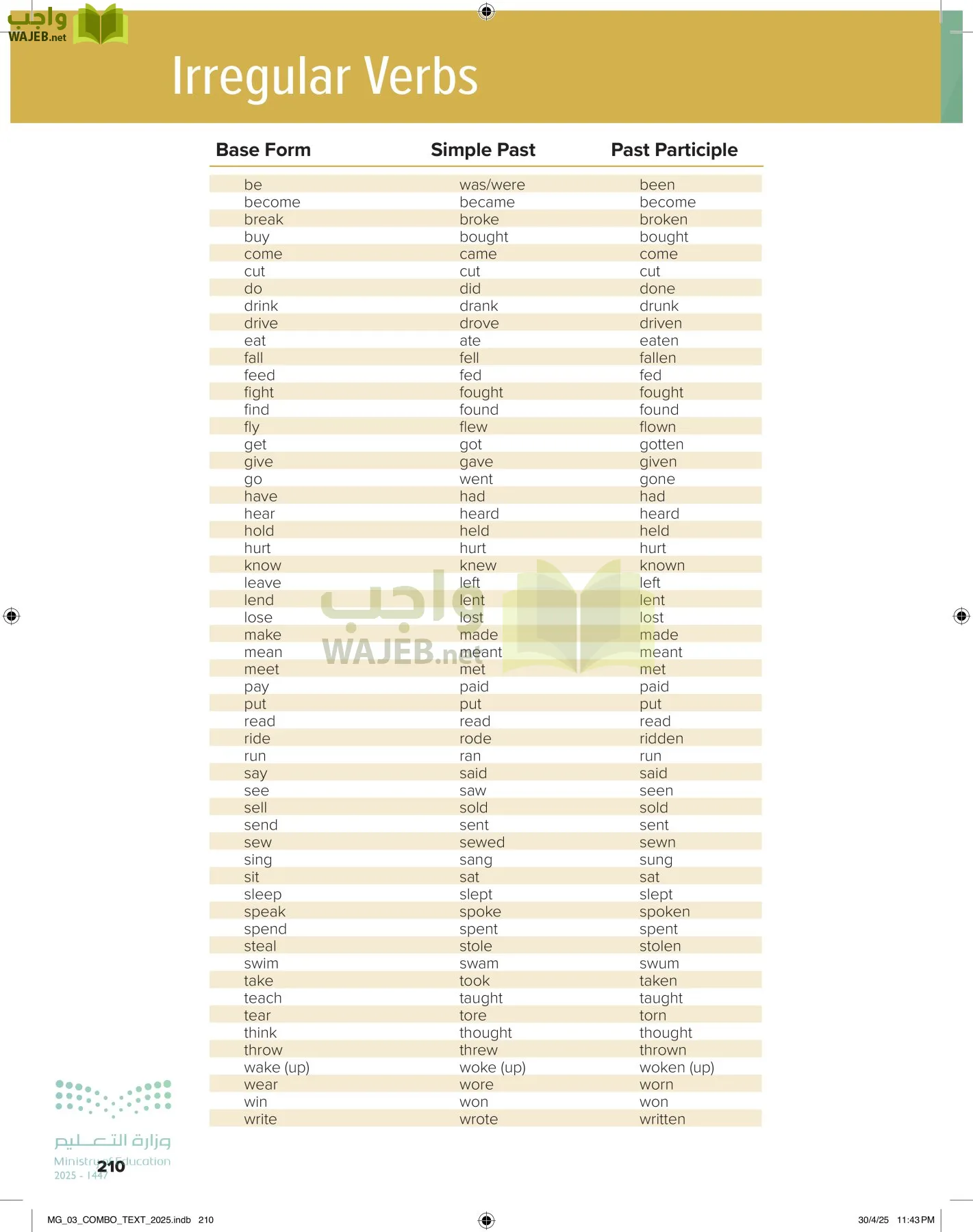 MEGA GOAL 3 page-215